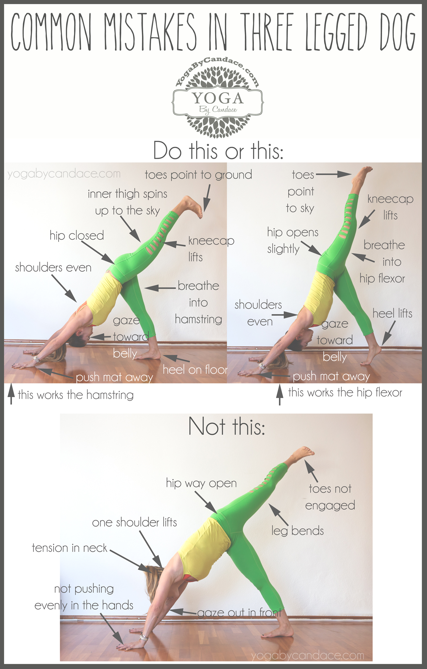 Sivananda Yoga – 12 Basic Asanas – Sequence and Benefits - Paperblog