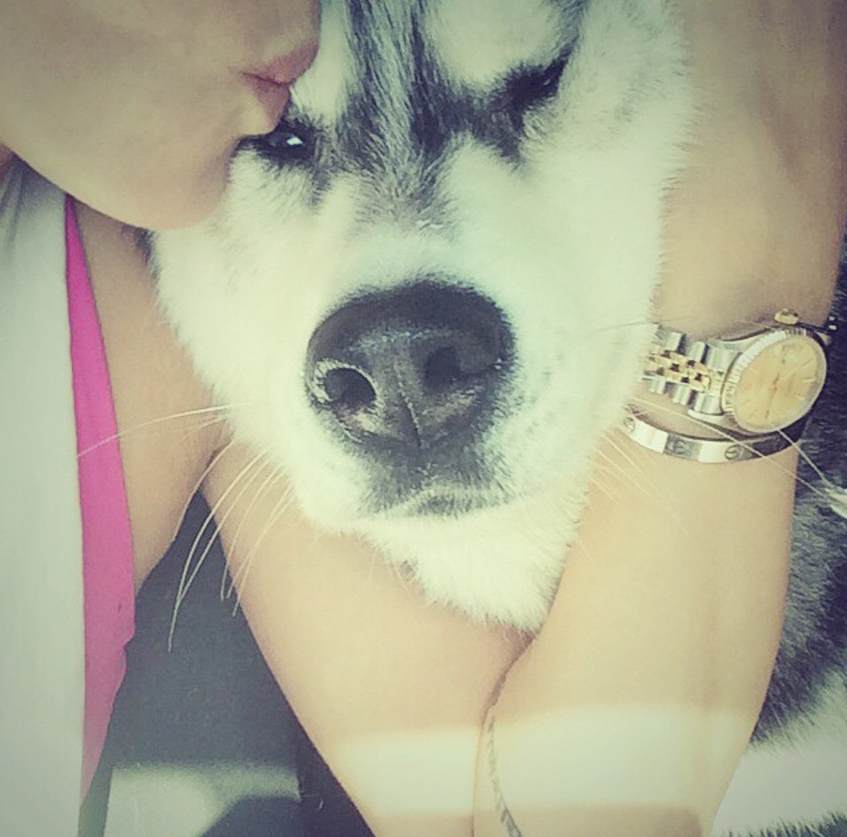 #crazydoglady