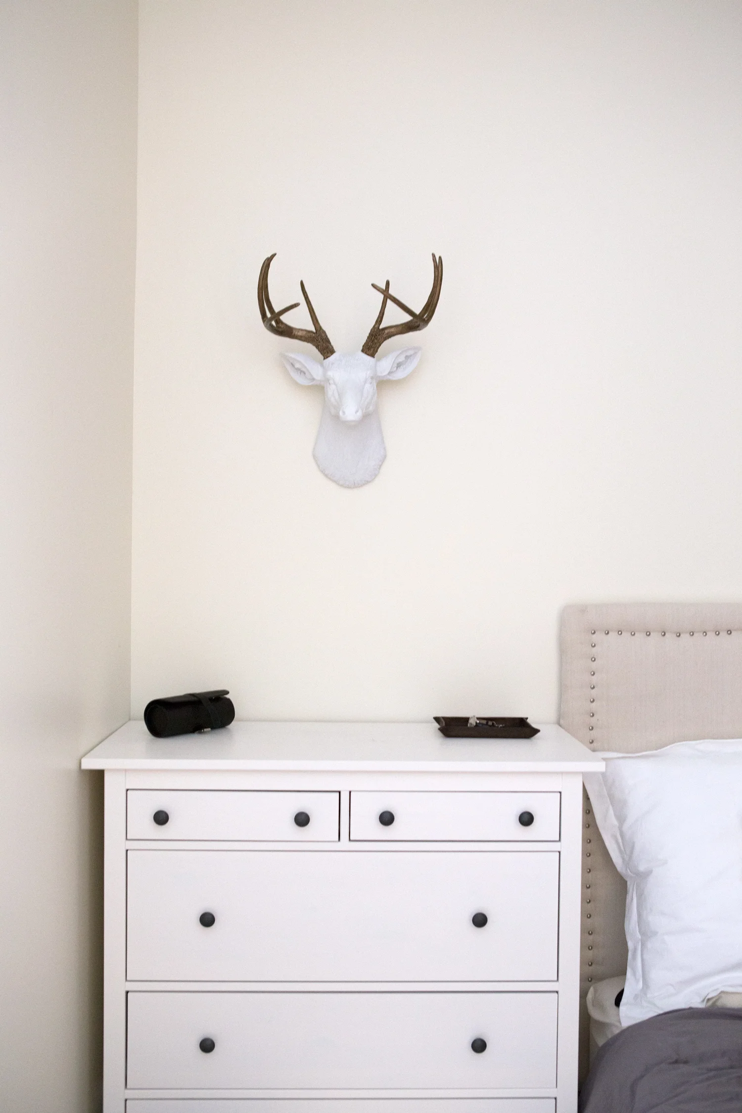 bust by white faux taxidermy , c/o