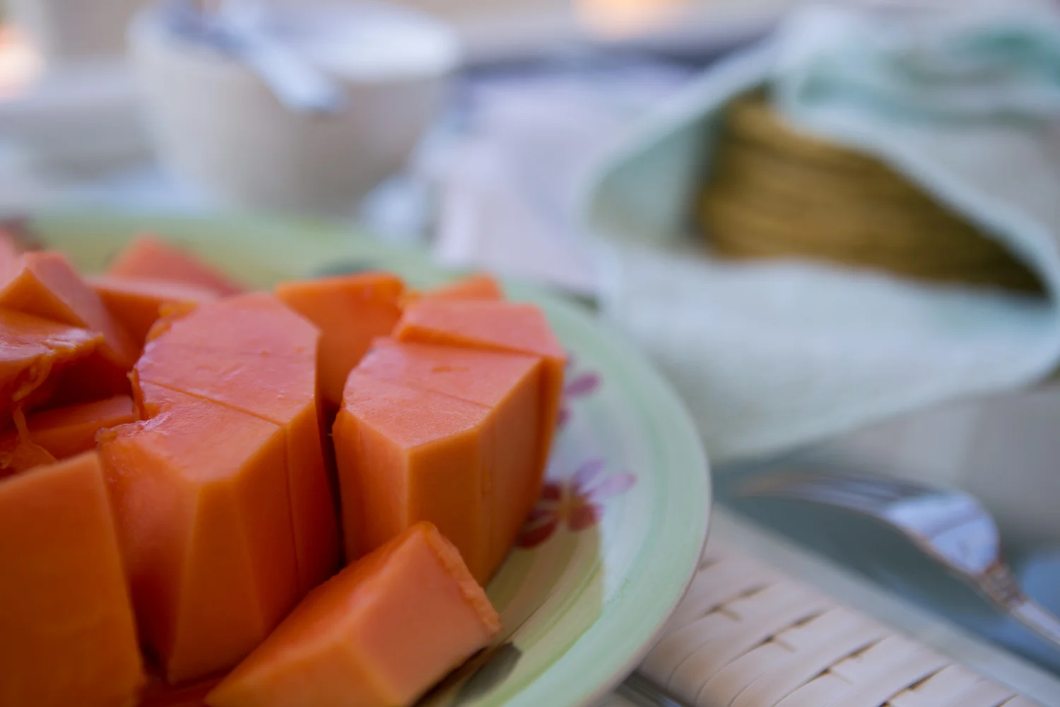 Fresh papaya at breakfast at our Costa Rica retreat
