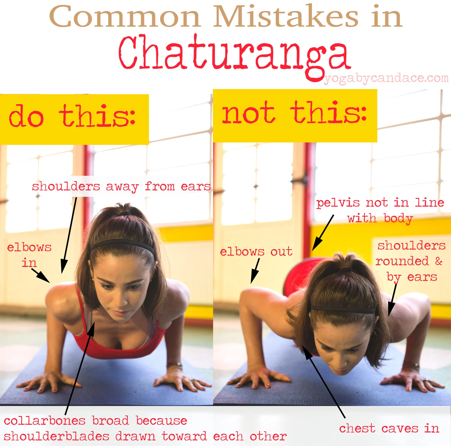 Pin it! Alignment for chaturanga