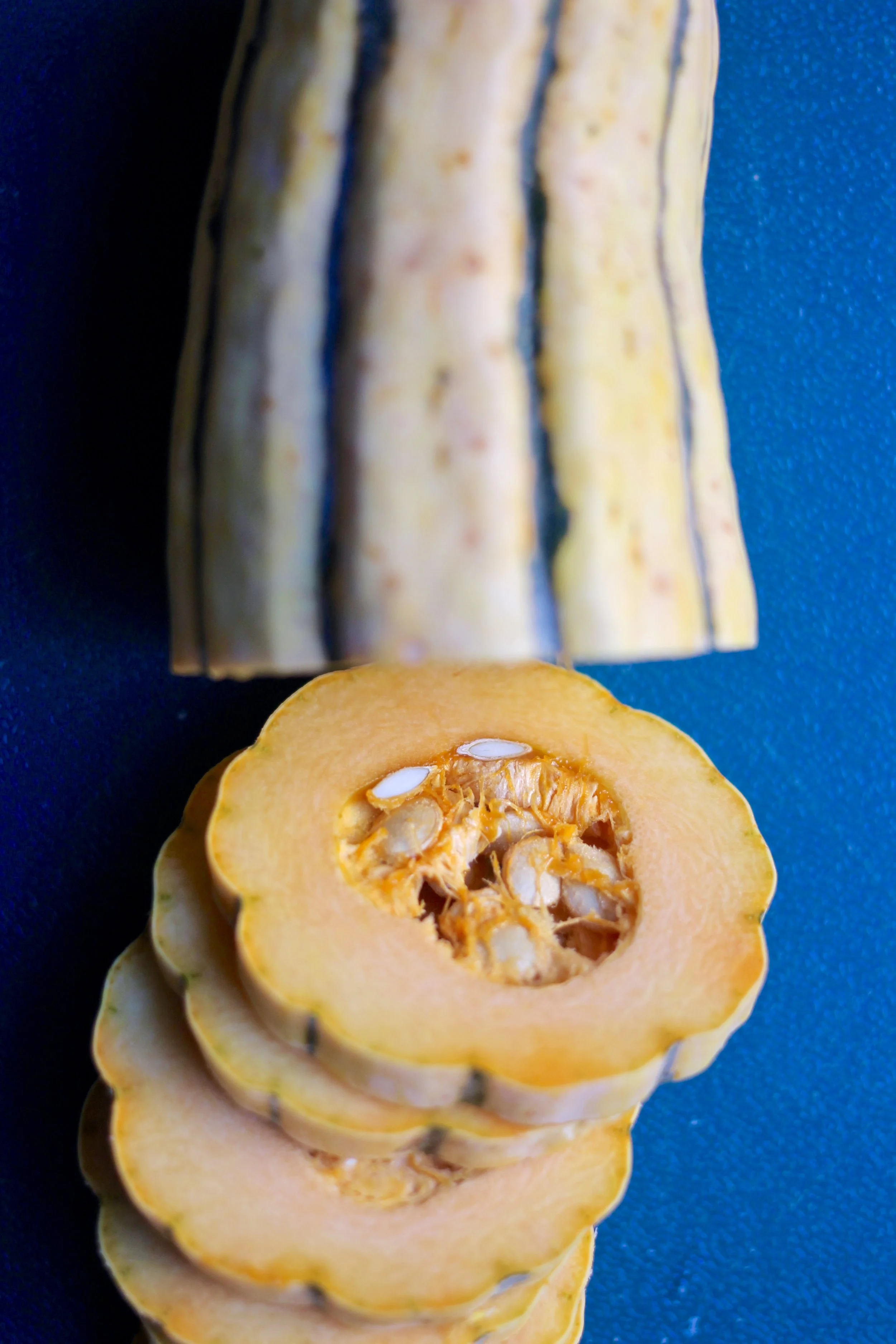 Delicata Squash; how gorgeous is this?