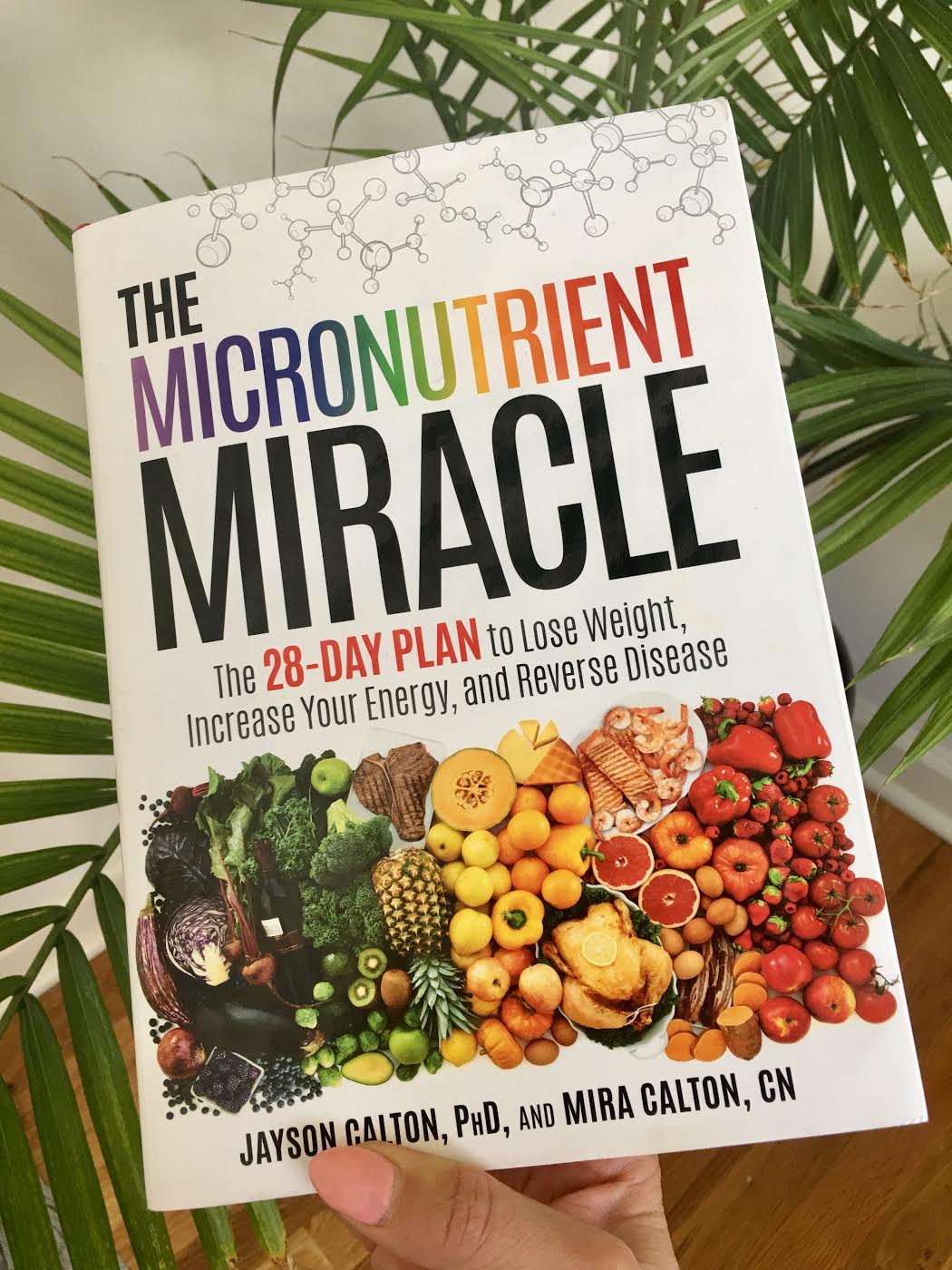 5 day miracle diet summary