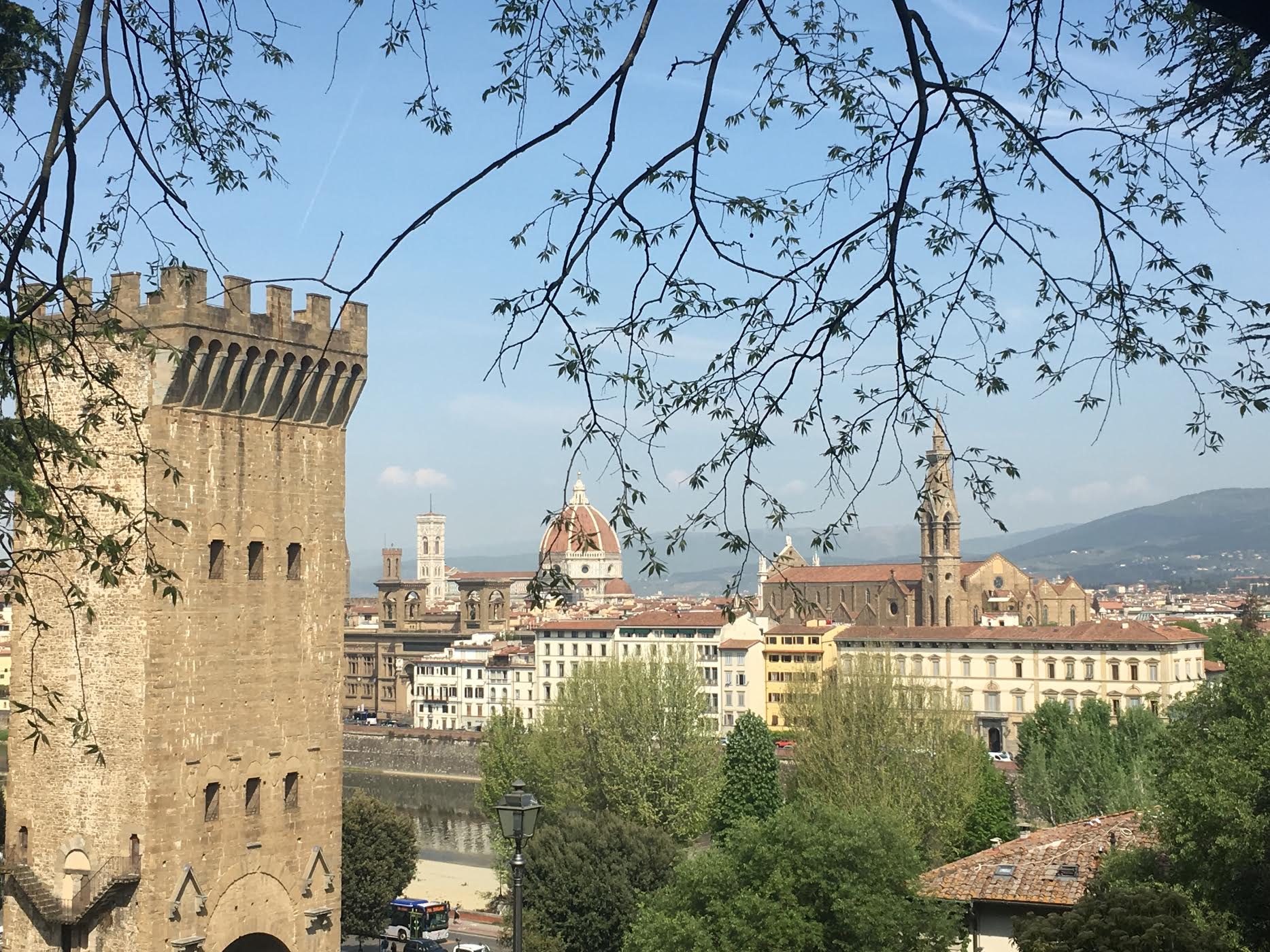 View of Florence