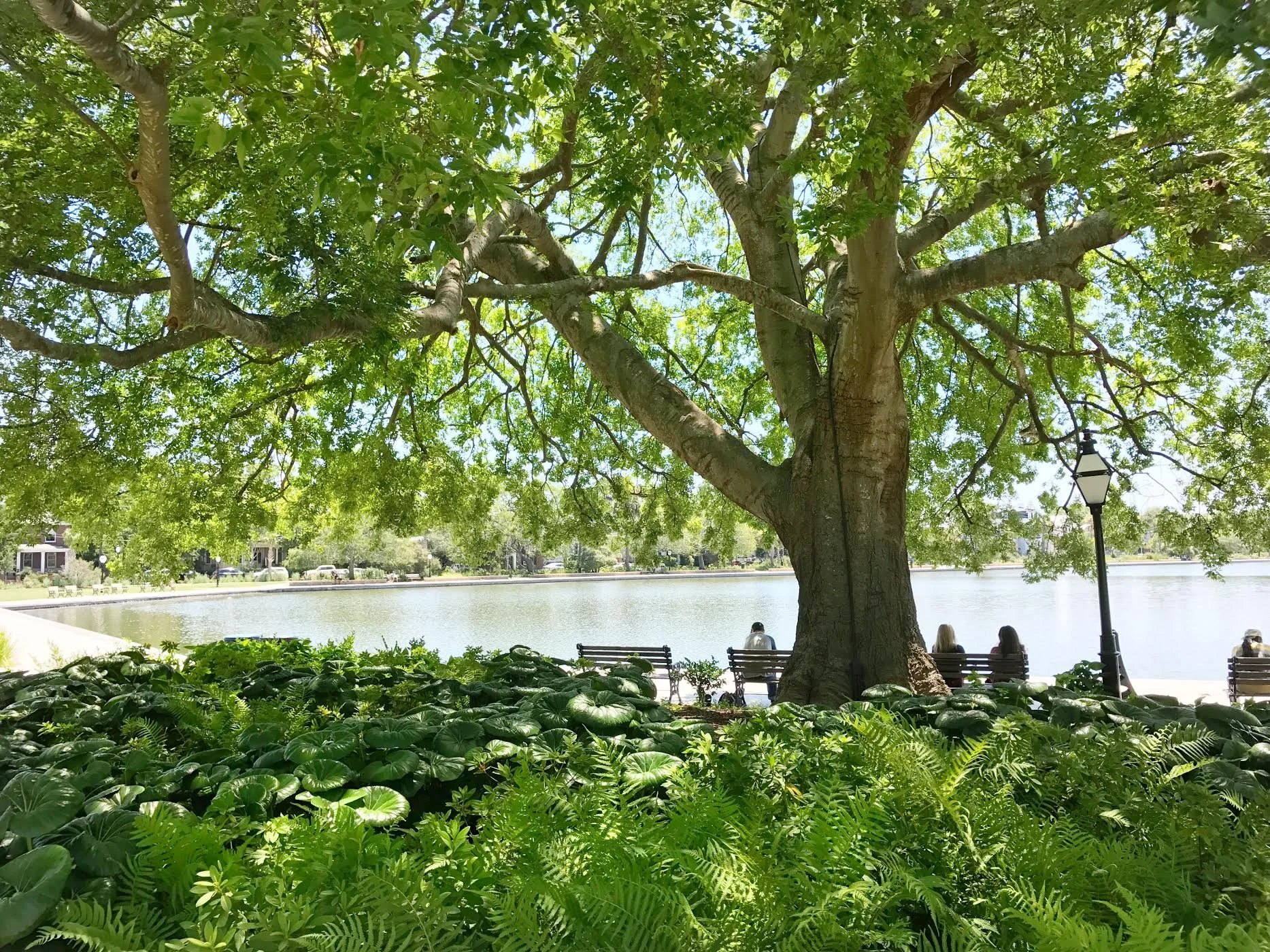 Get outside