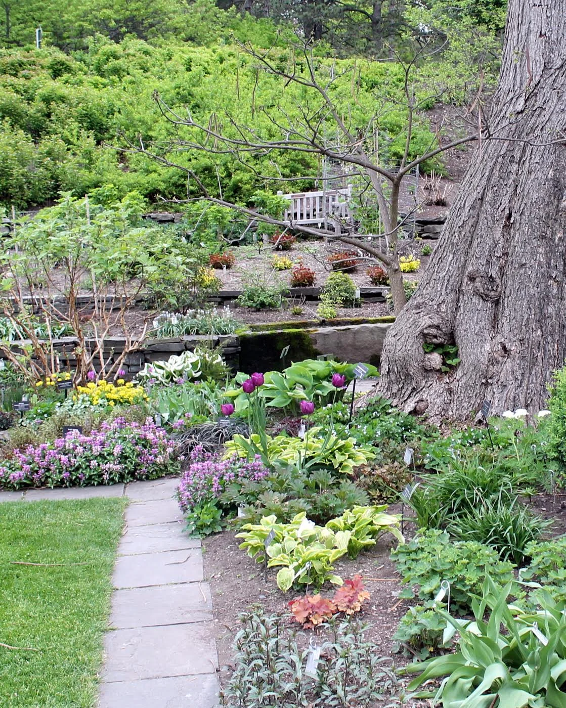 Outdoor garden