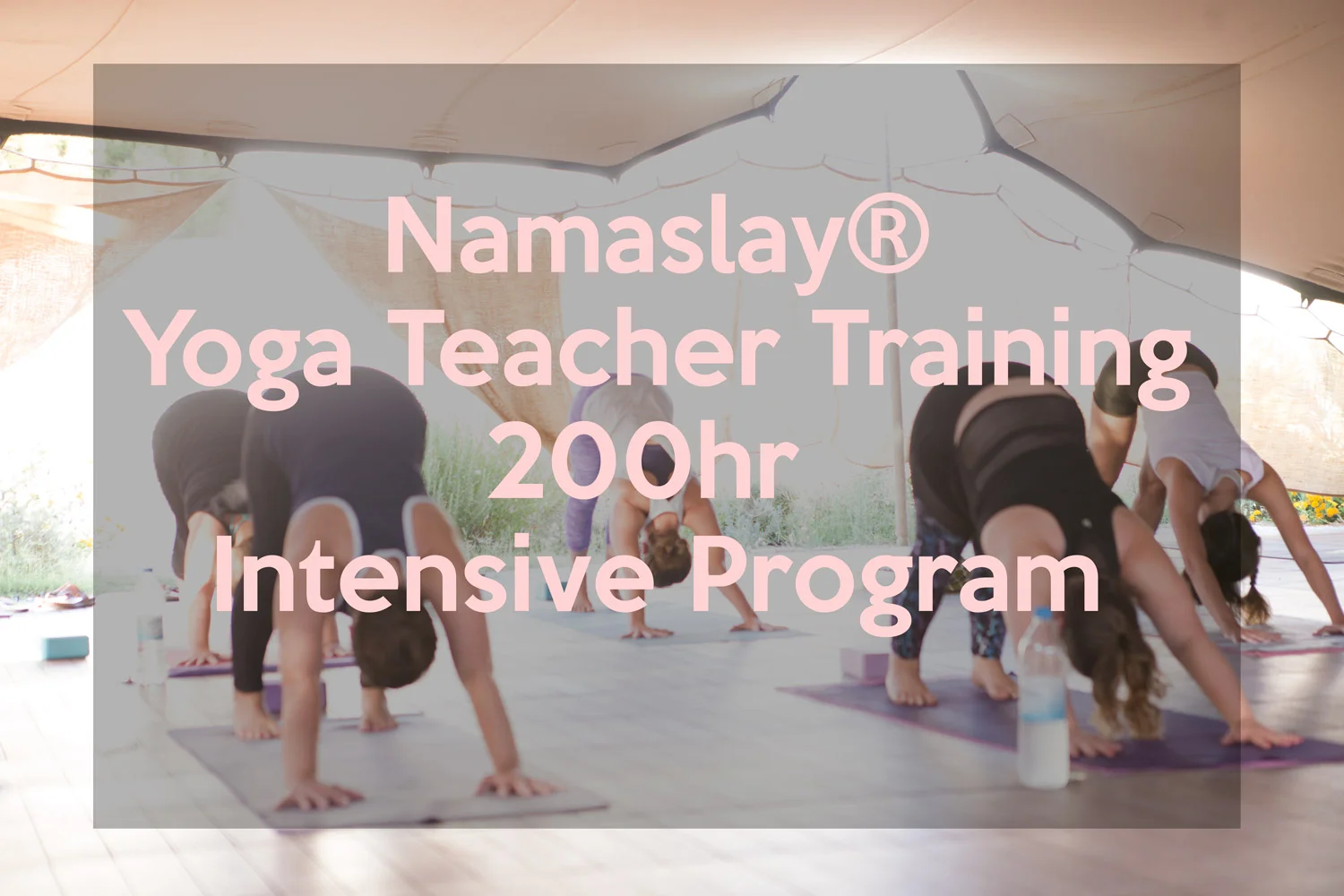 namaslay-training.jpg