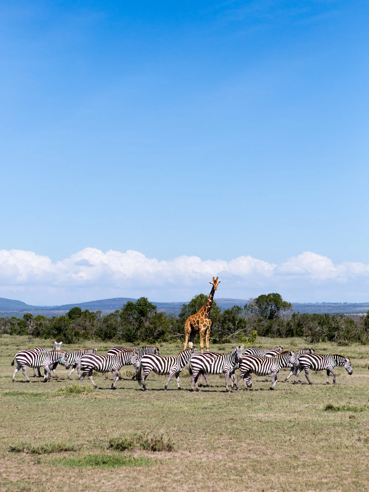 On the plains at our Safari Yoga Retreat