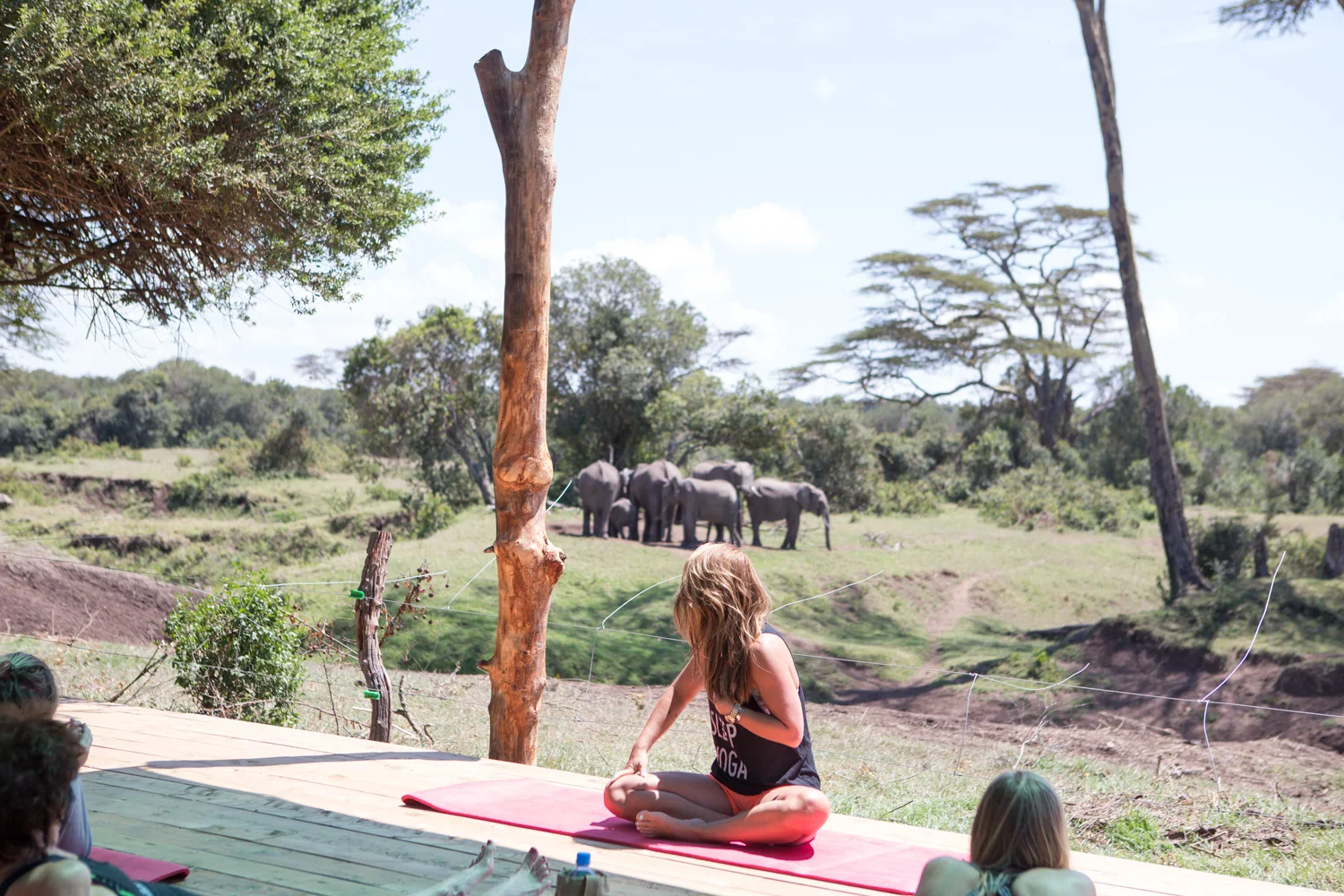 Yoga with a serious view at our Kenya Safari Yoga Retreat