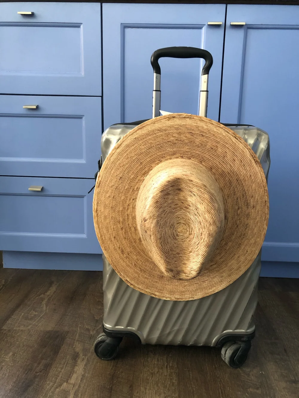 travel-suitcase-hat