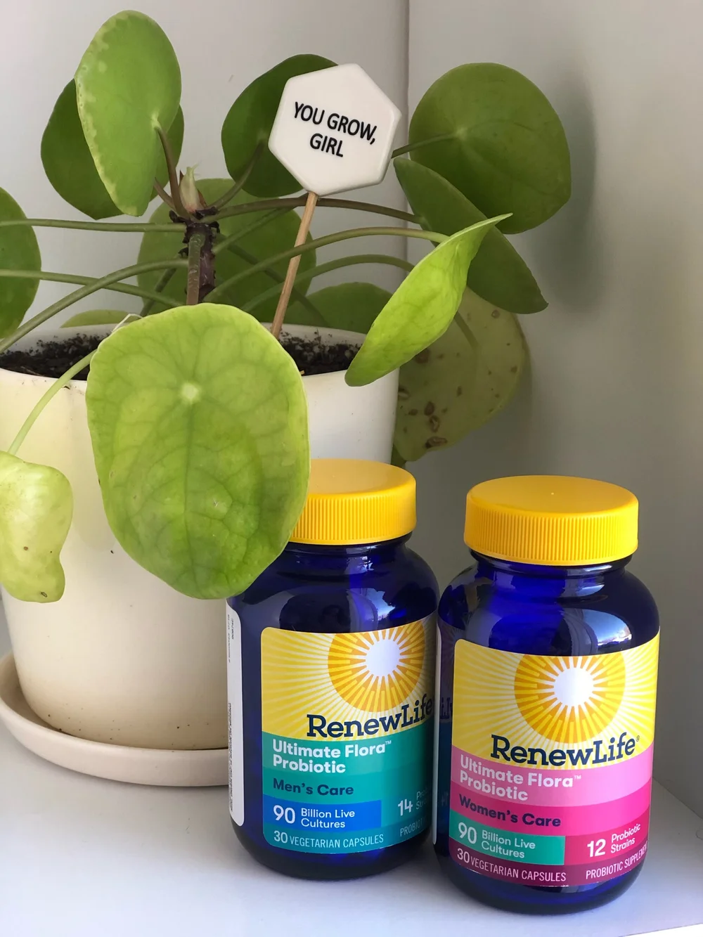 probiotic-supplement