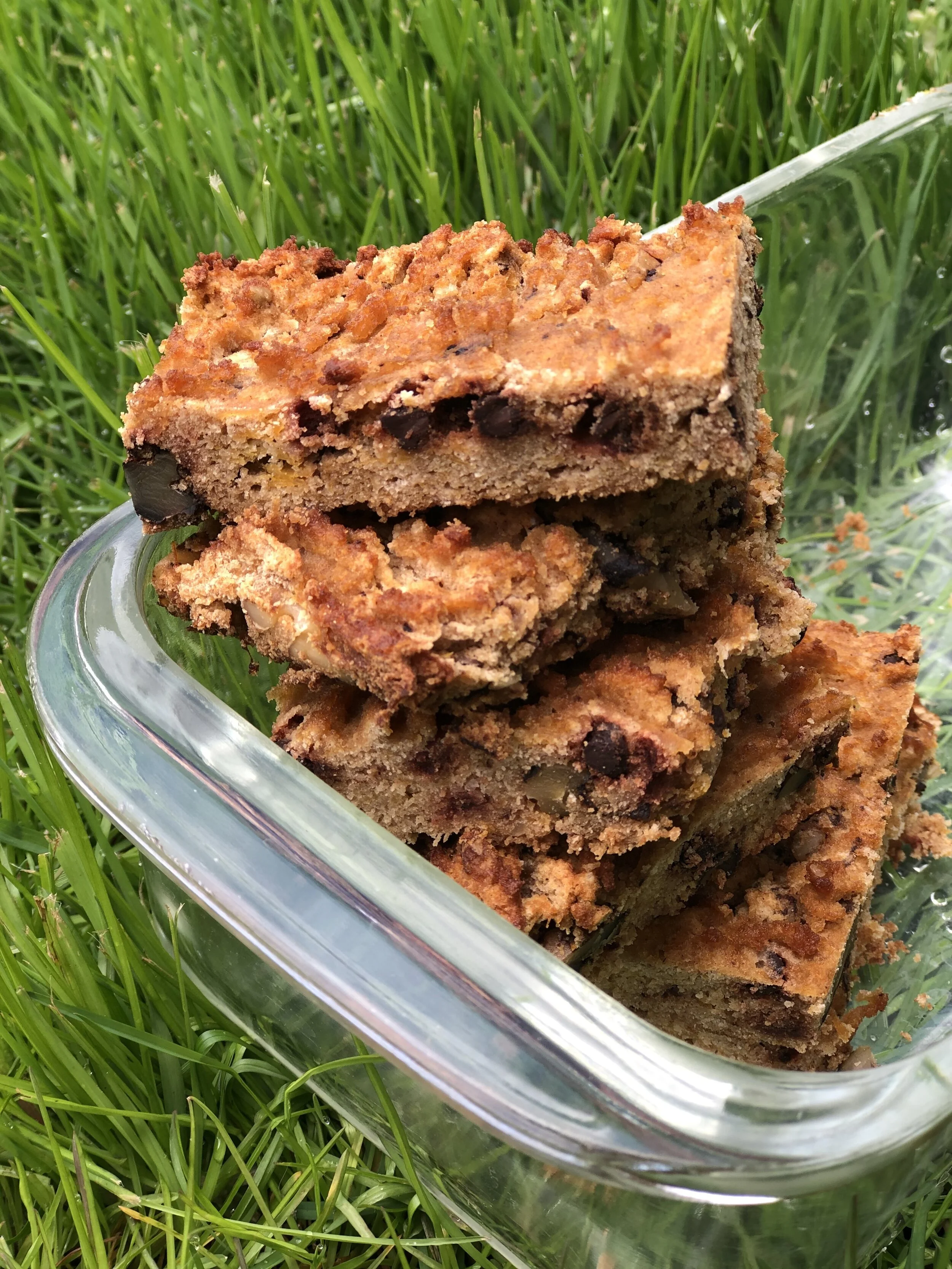 Healthy Dessert: Gluten Free Chocolate Chip Harvest Bars