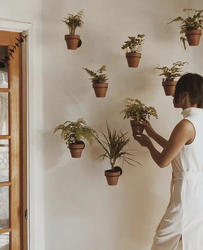 I’m thinking on a kitchen wall that gets sun some potted herbs in this style from The Spruce would be amazing.