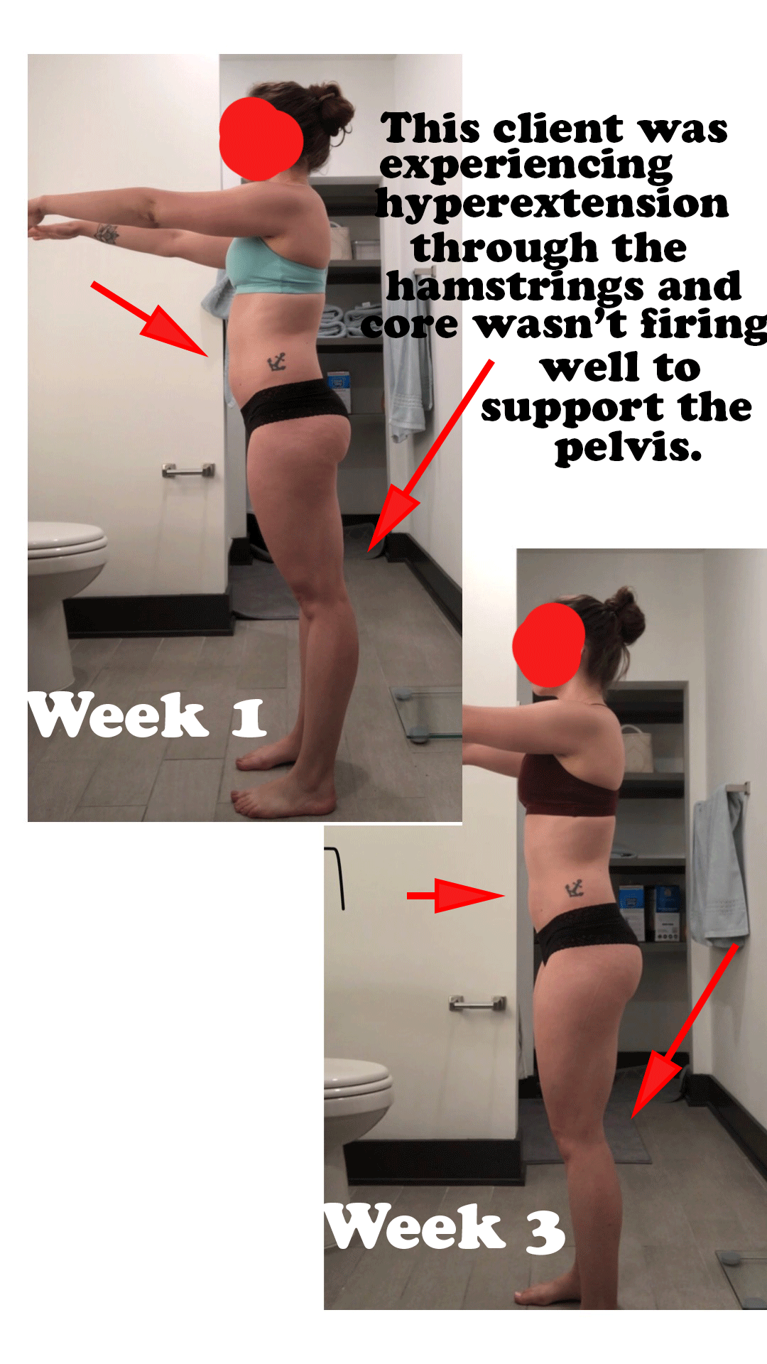 client-posture-program.gif
