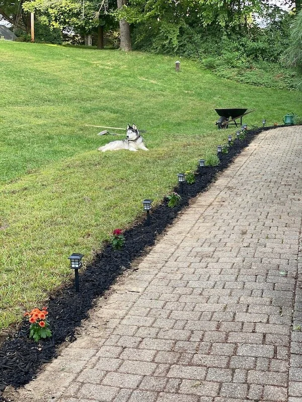 outdoor-gratitude.jpeg