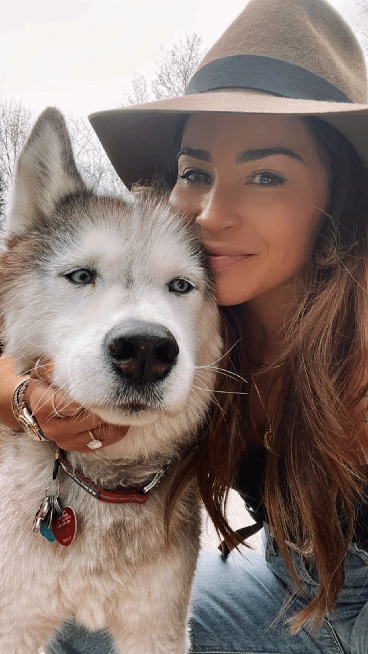 Five Meds That've Helped my Dog's Dementia 