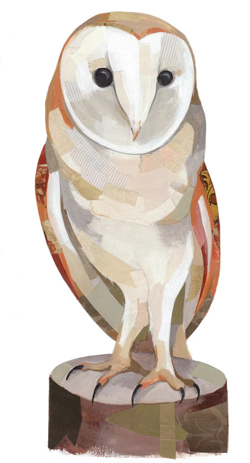 Owl750wide.jpg