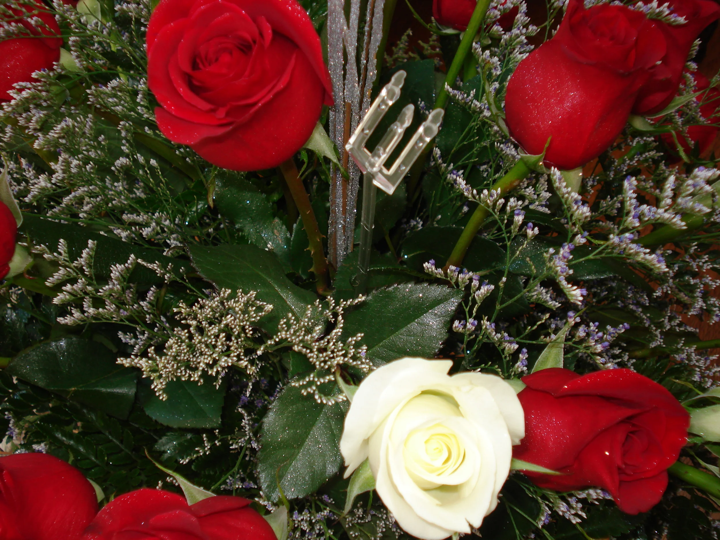 DSC00273.JPG