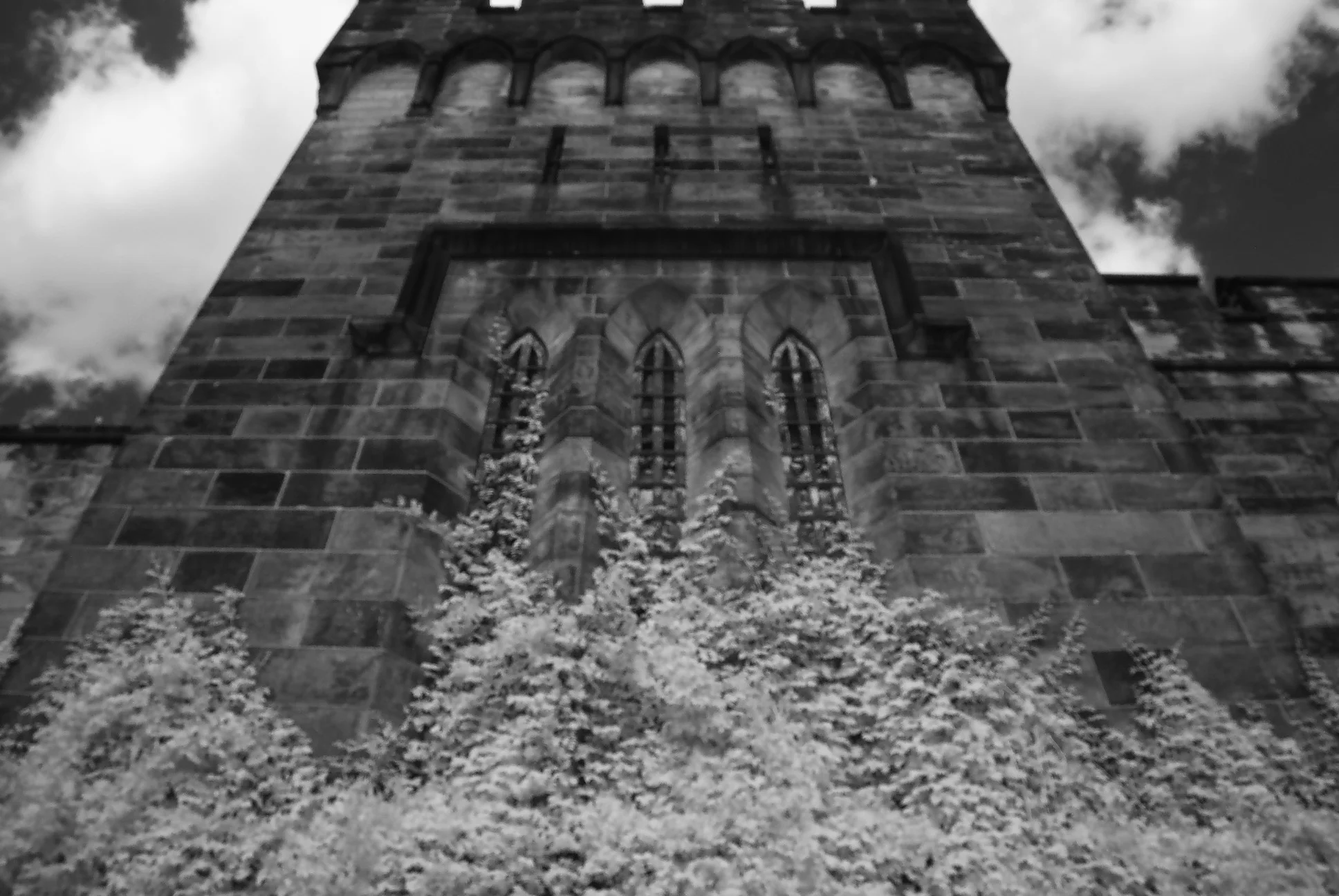 DSC_0169.jpg
