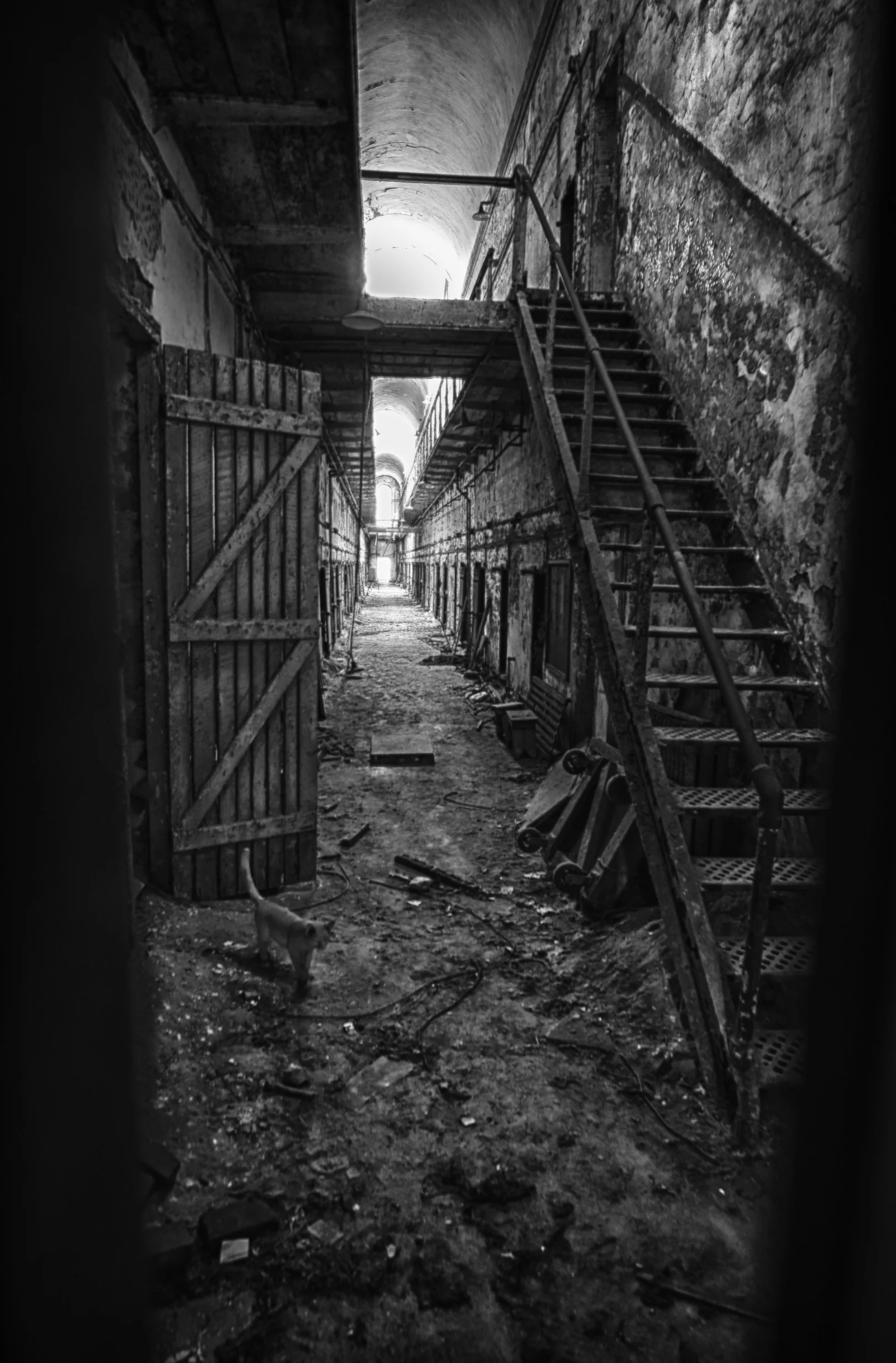 DSC_3603_HDR.jpg