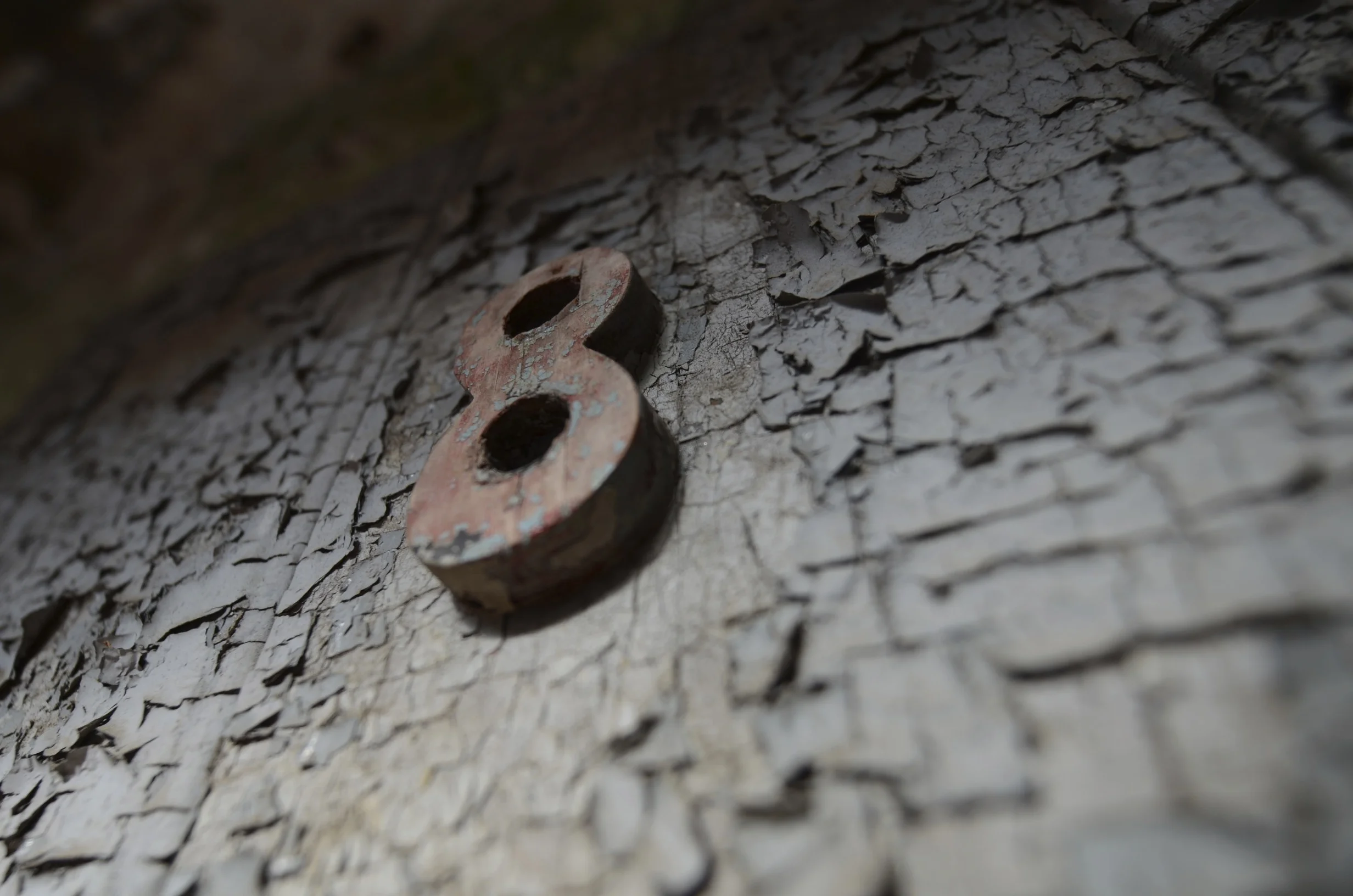DSC_3745.jpg