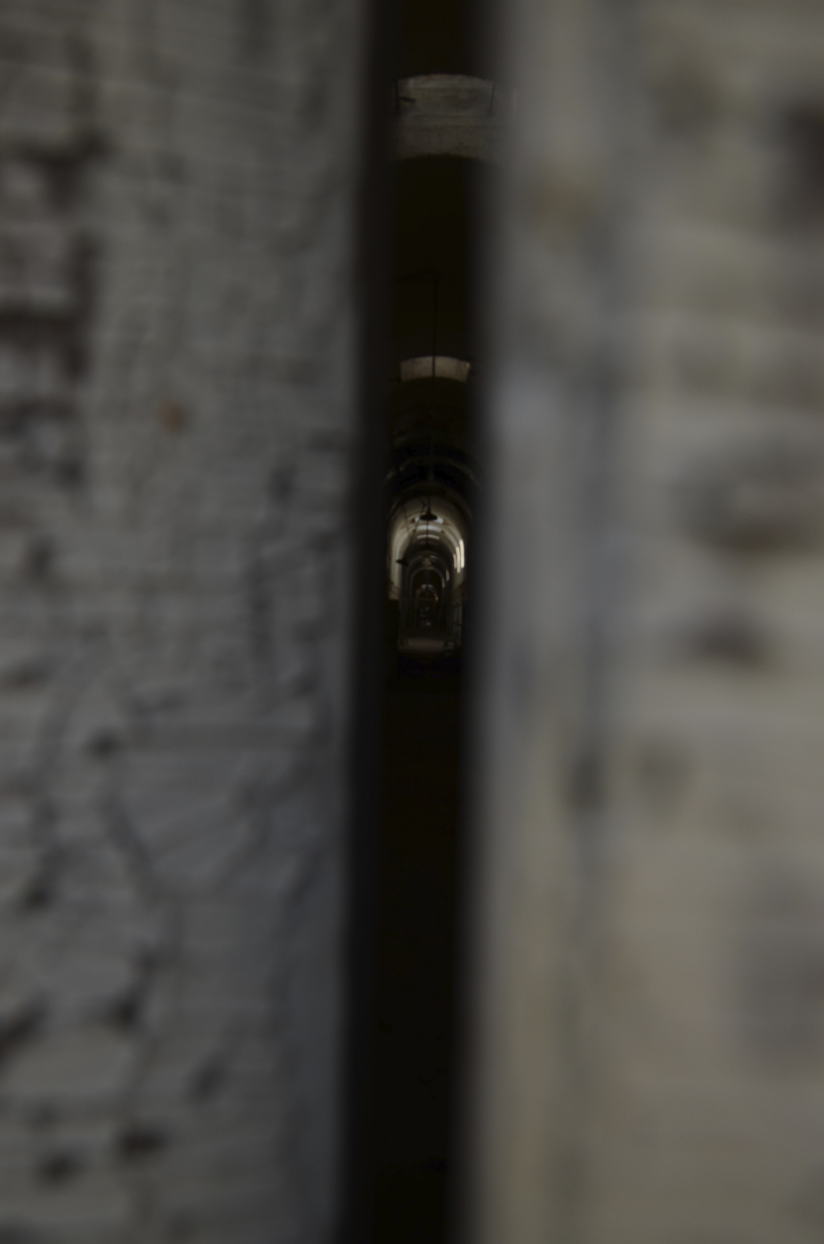 DSC_4168.jpg