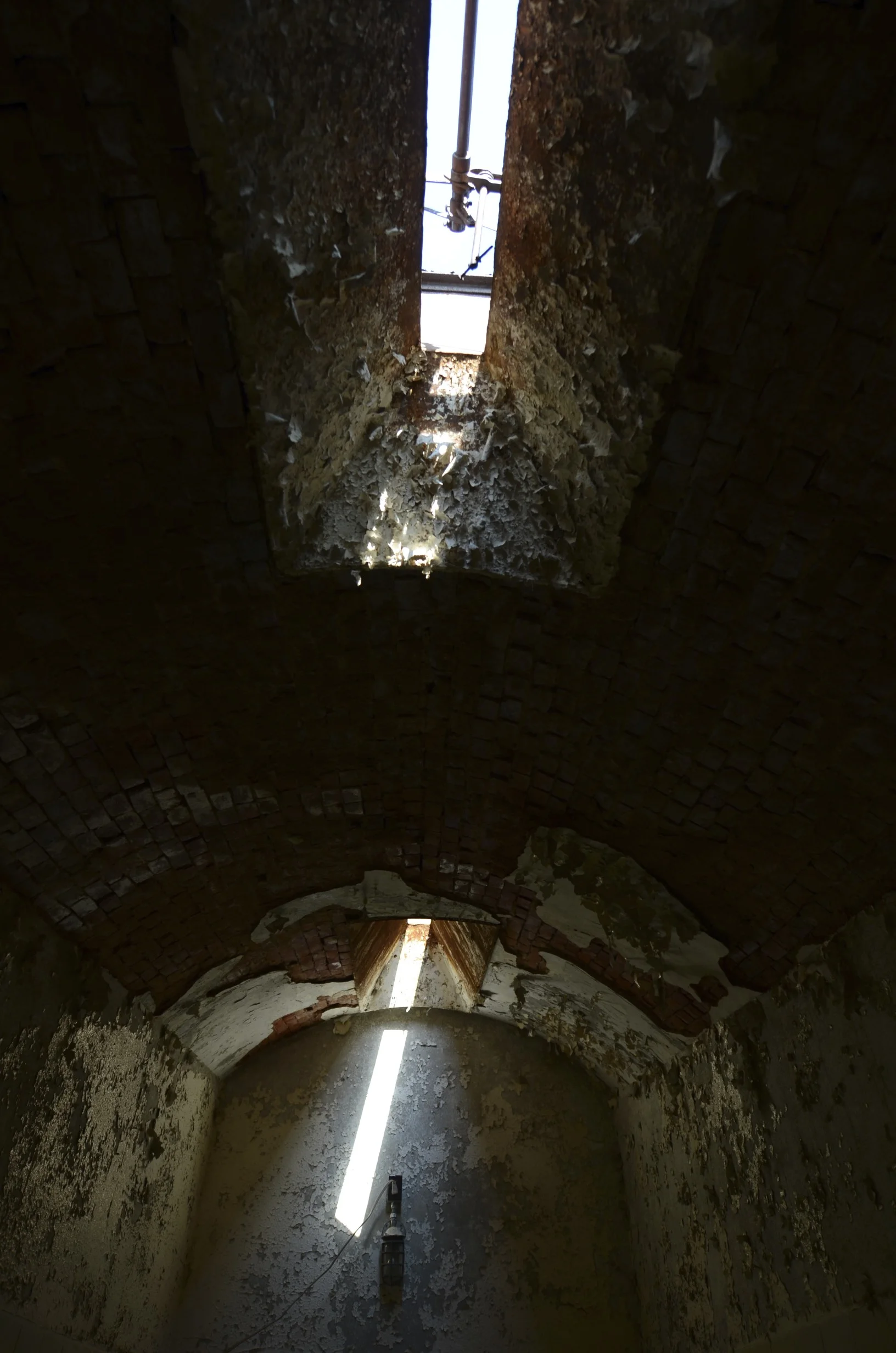 DSC_4278.jpg