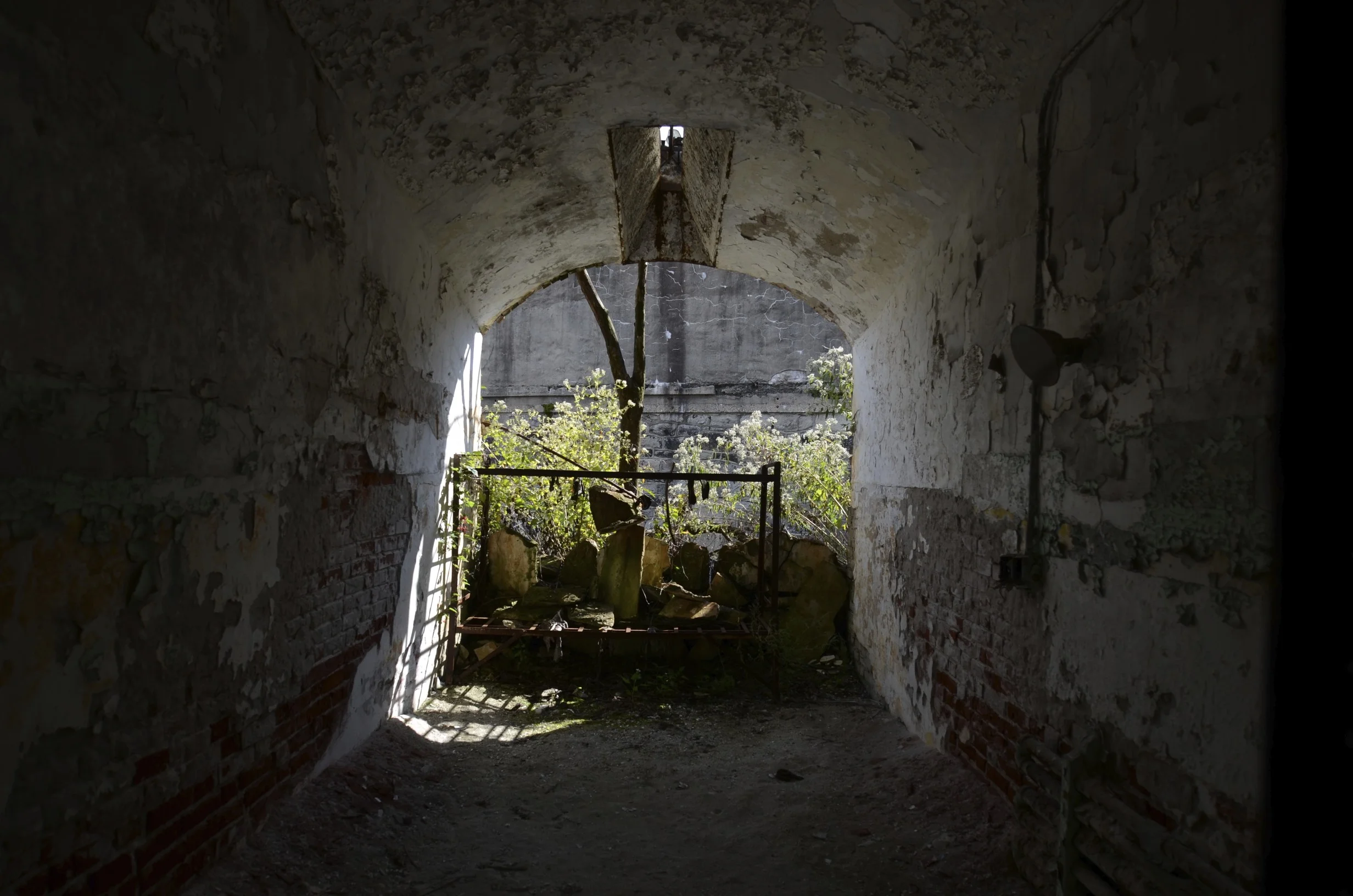 DSC_4327.jpg