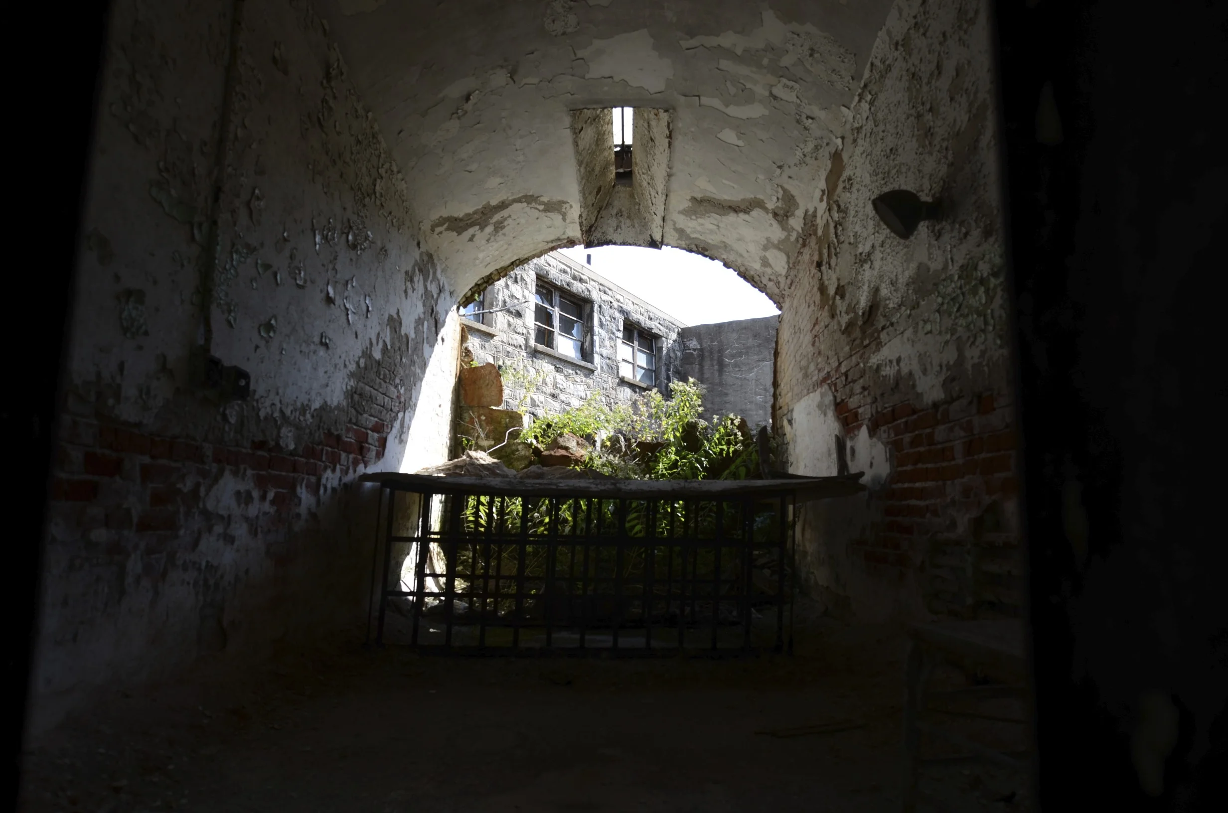 DSC_4333.jpg