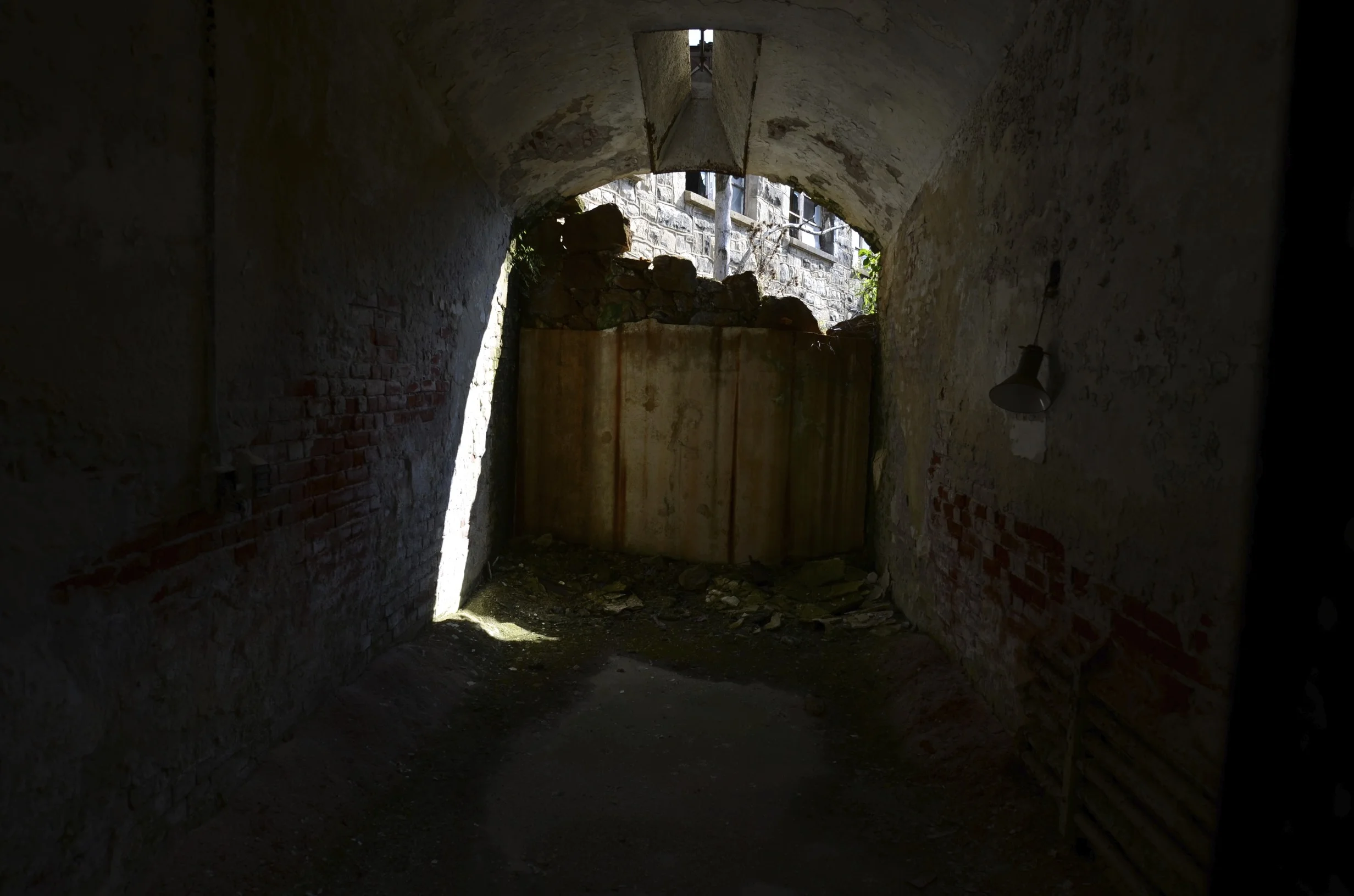 DSC_4337.jpg