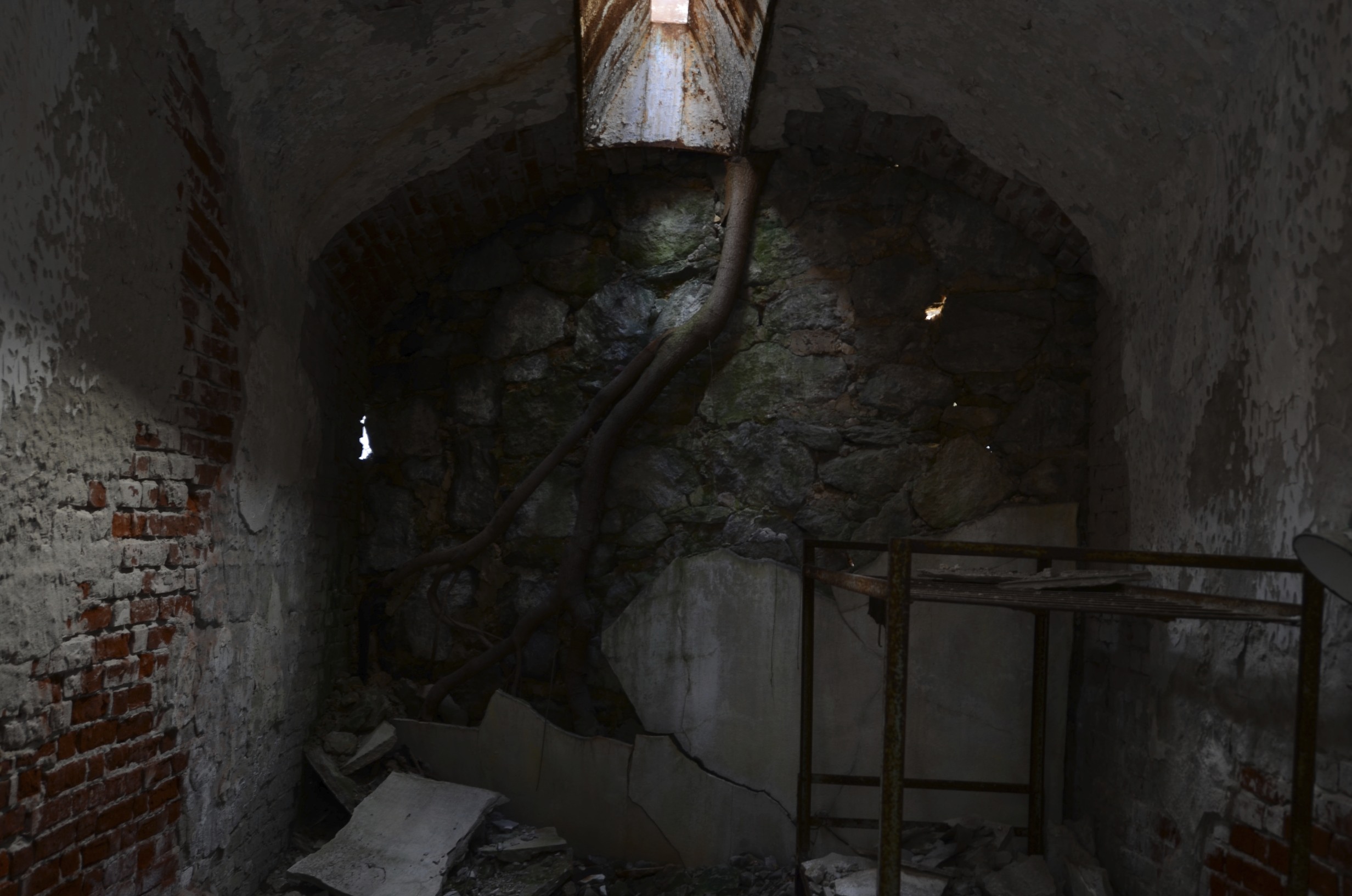 DSC_4369.jpg