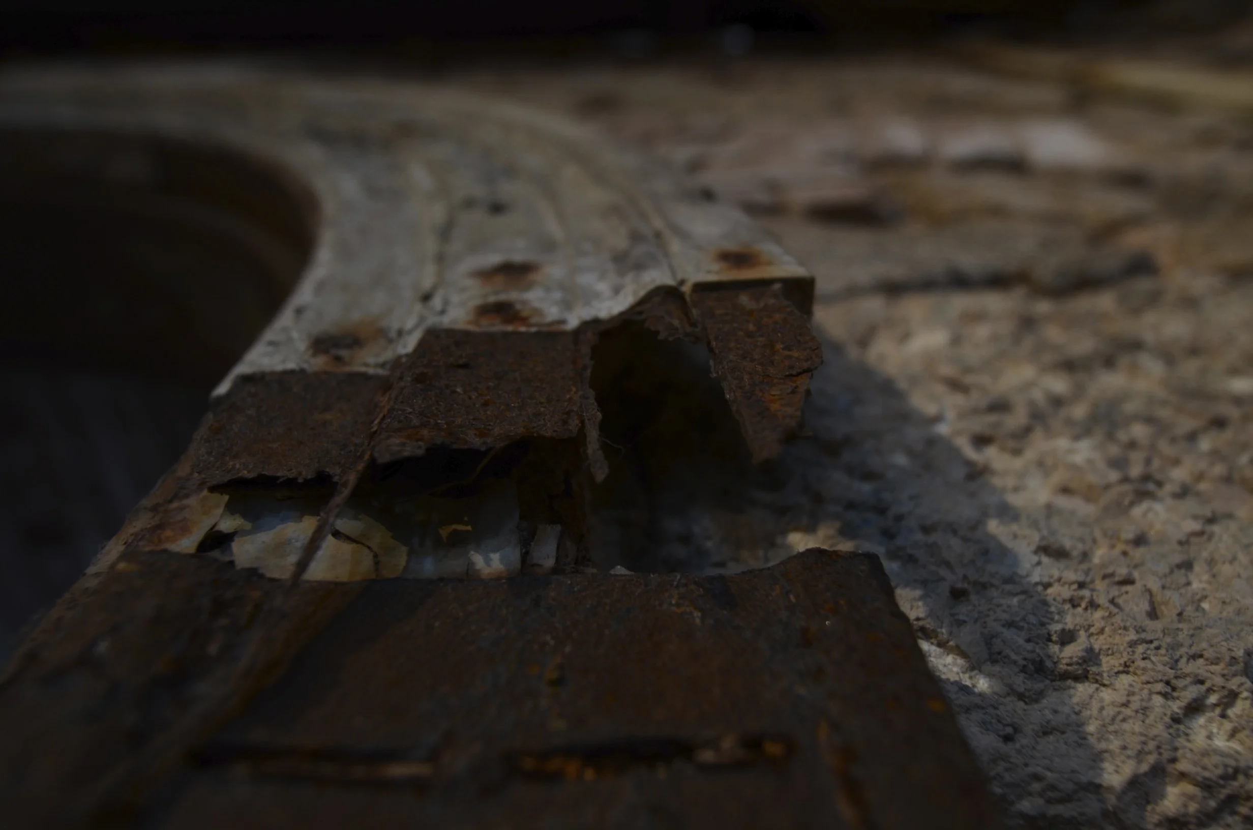 DSC_4567.jpg