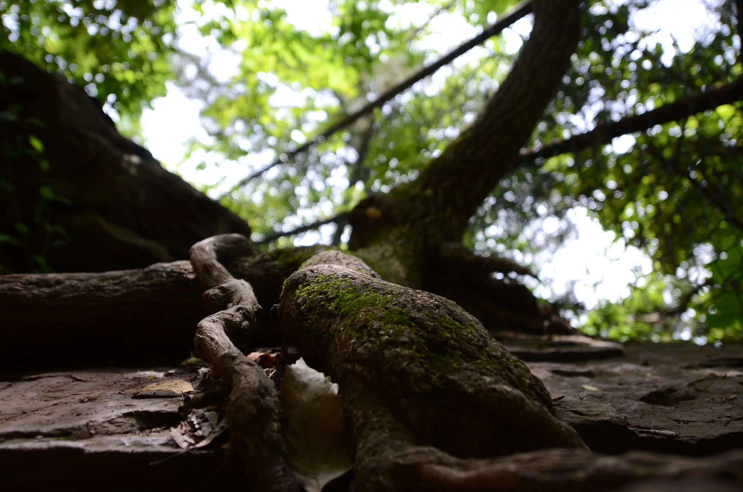 DSC_3220.JPG