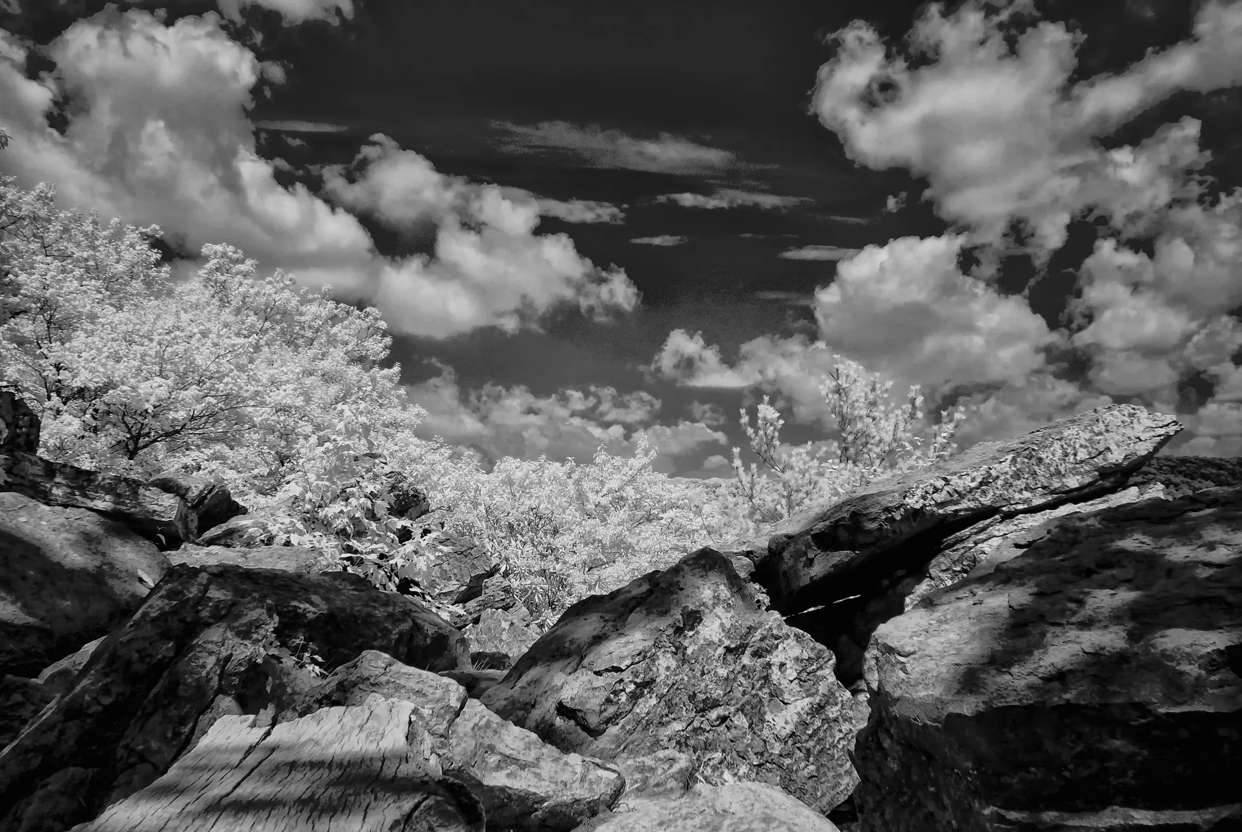 DSC_0125 (1).jpg