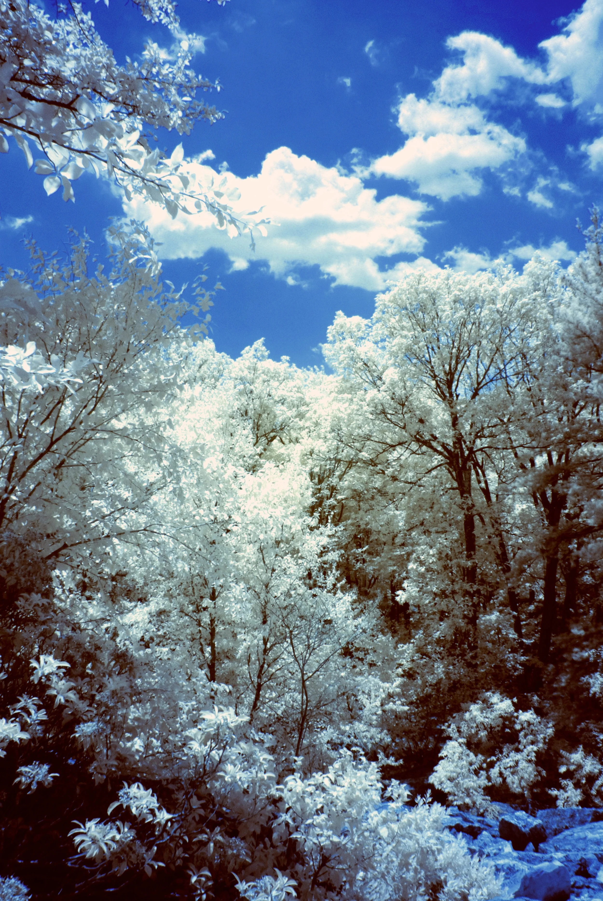 DSC_0172.jpg