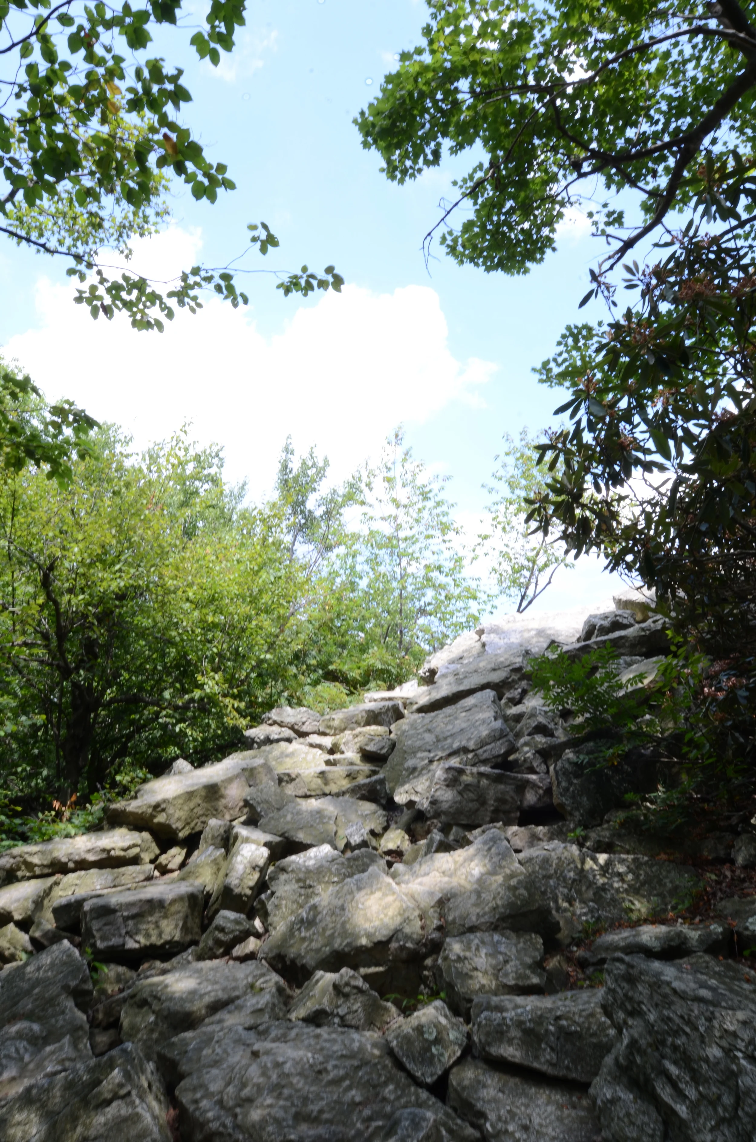 DSC_3328.jpg