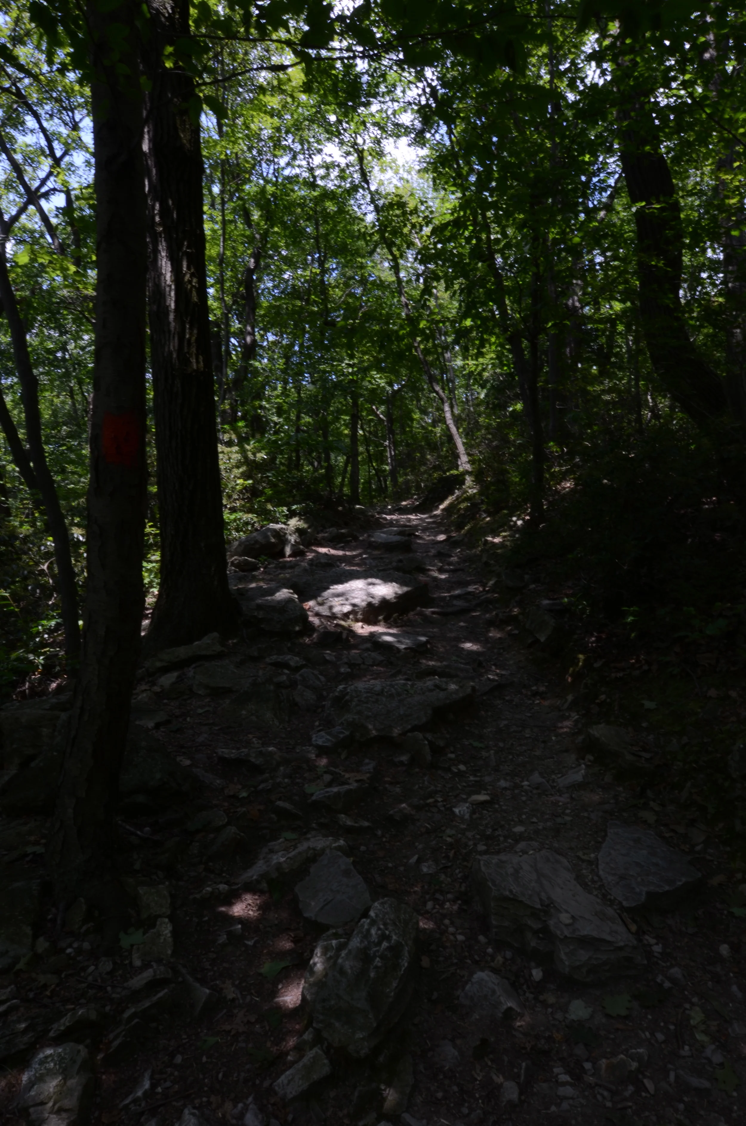 DSC_3330.jpg