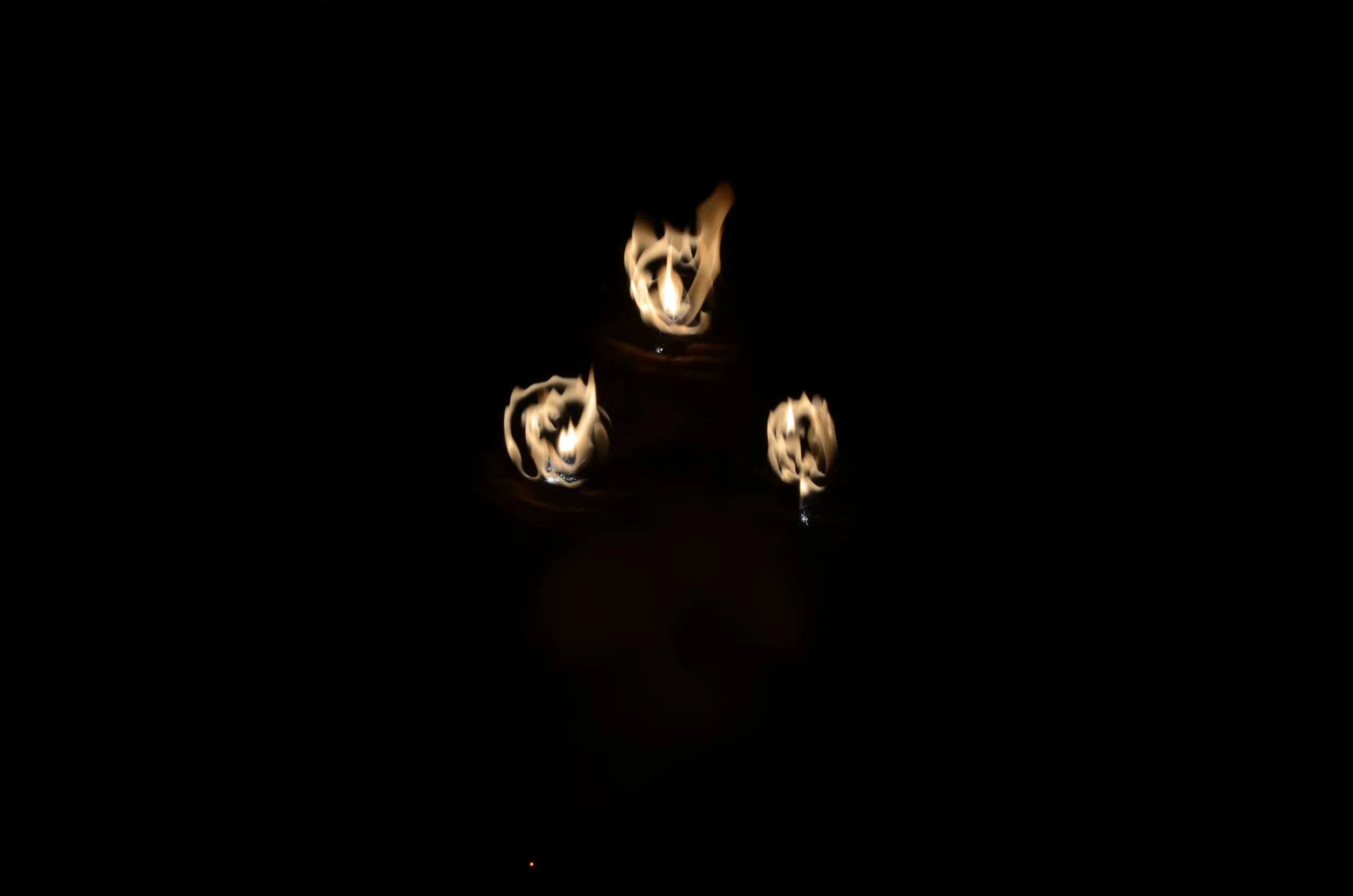 DSC_2137.JPG