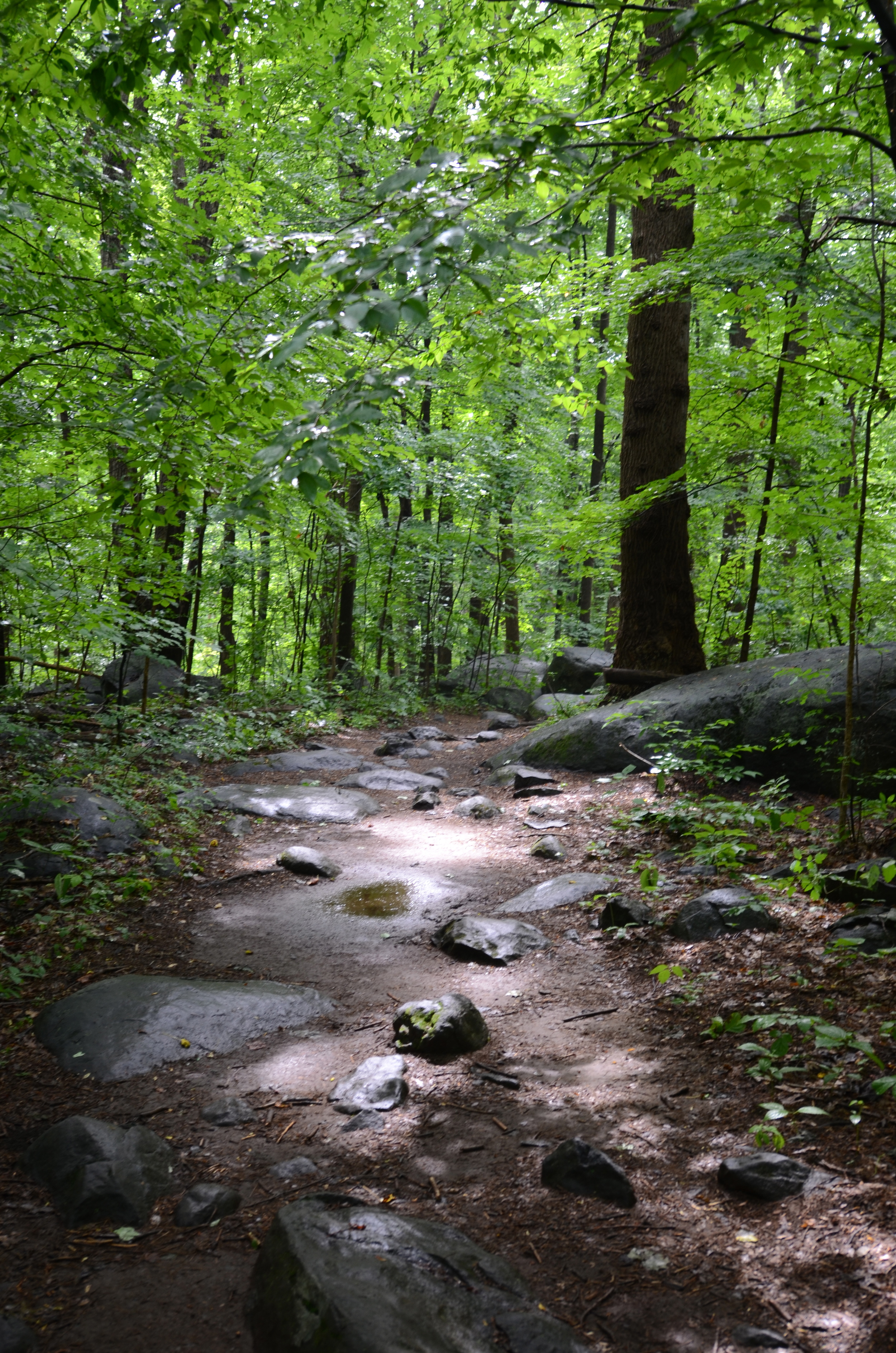 DSC_3117.jpg