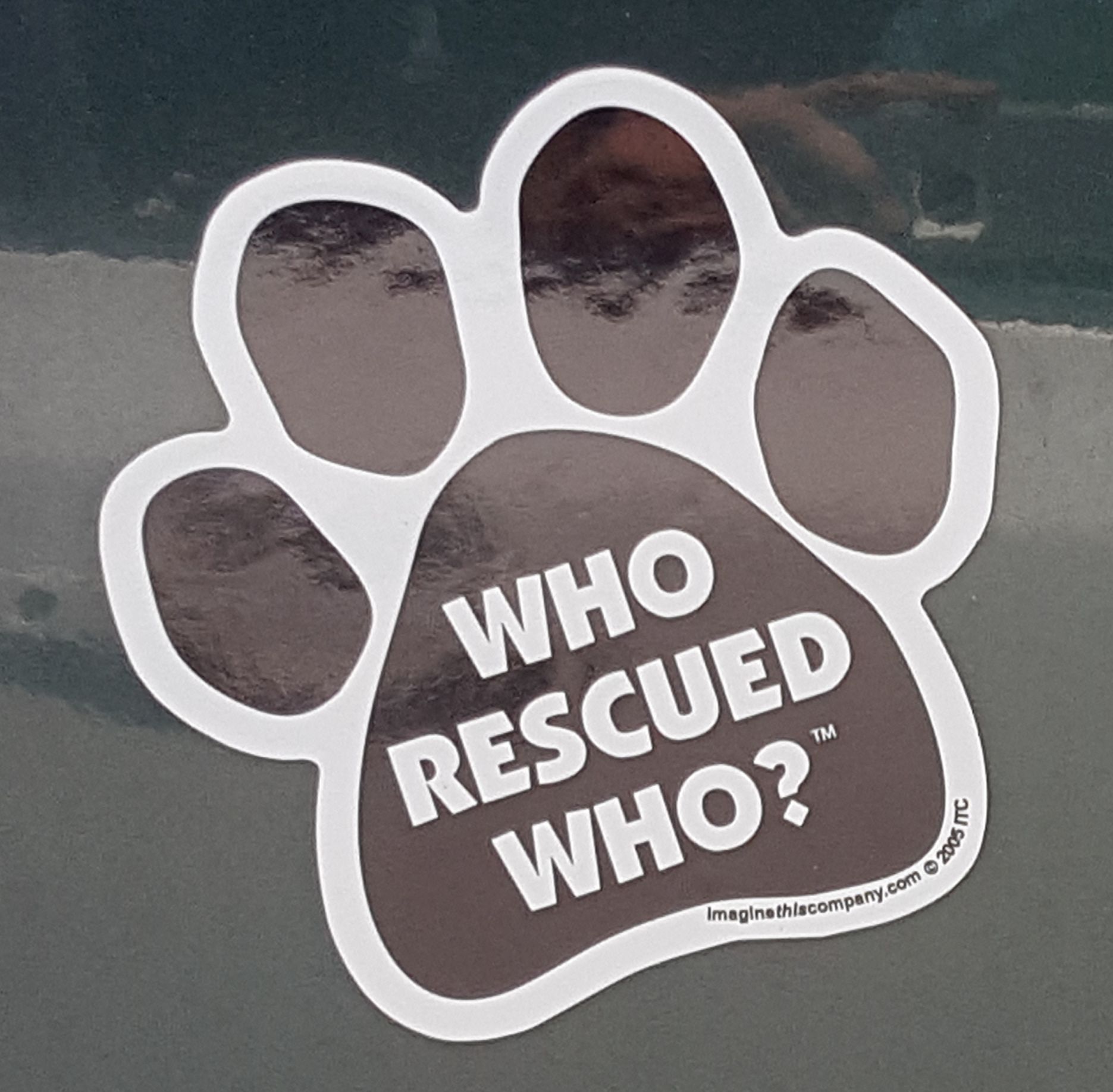 Who Rescued Who.jpg