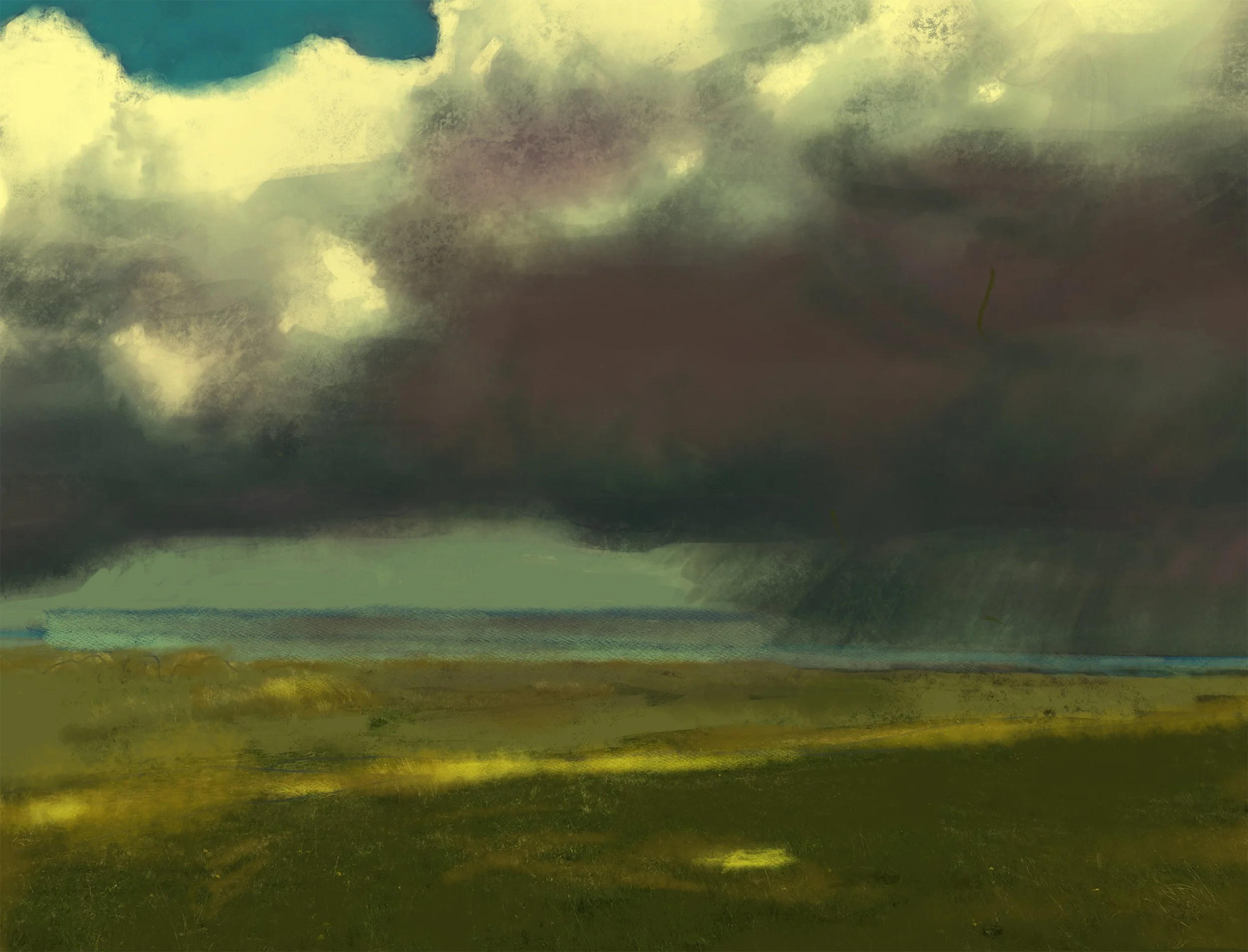 The Bay