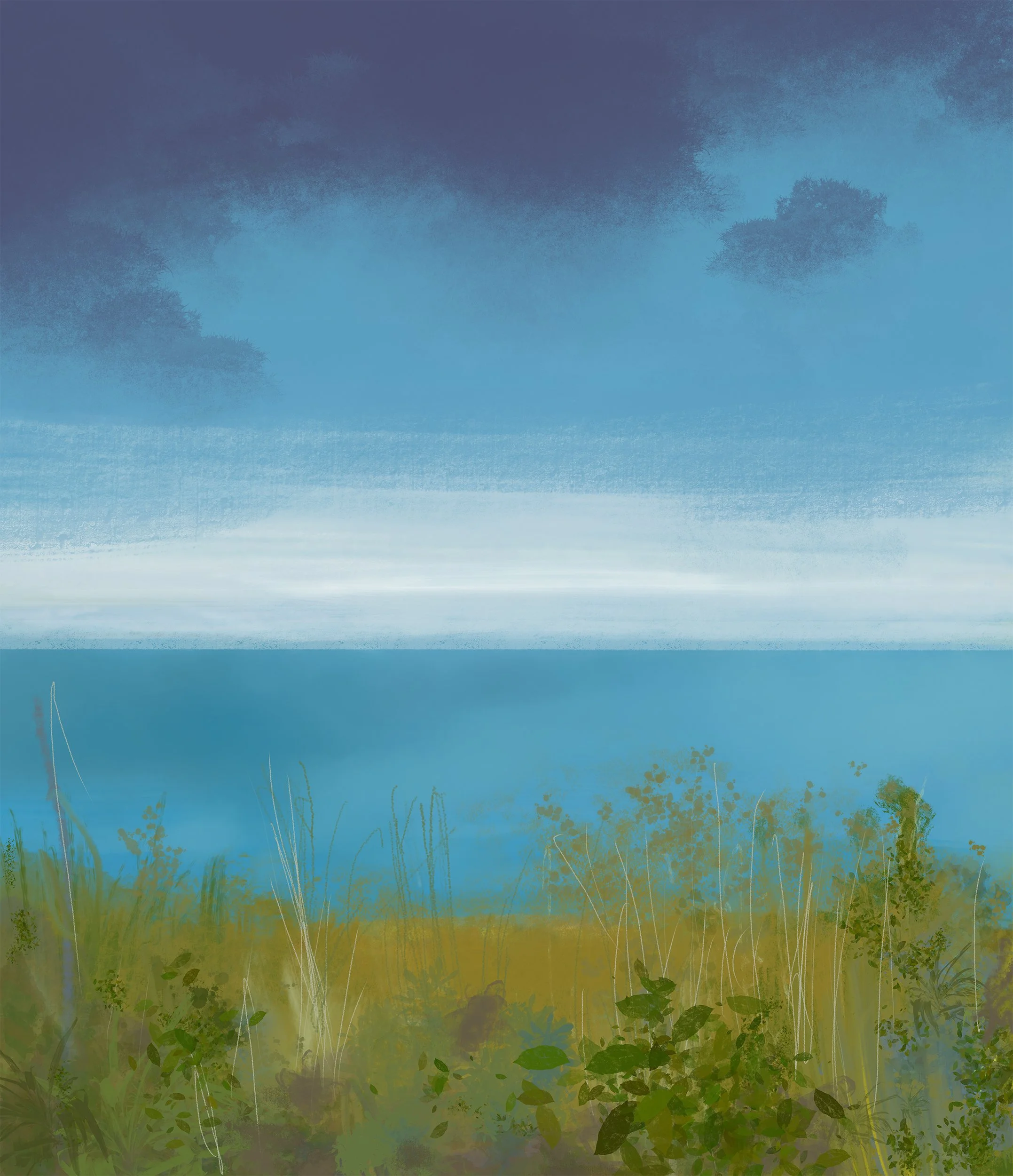 Cloudy Bay
