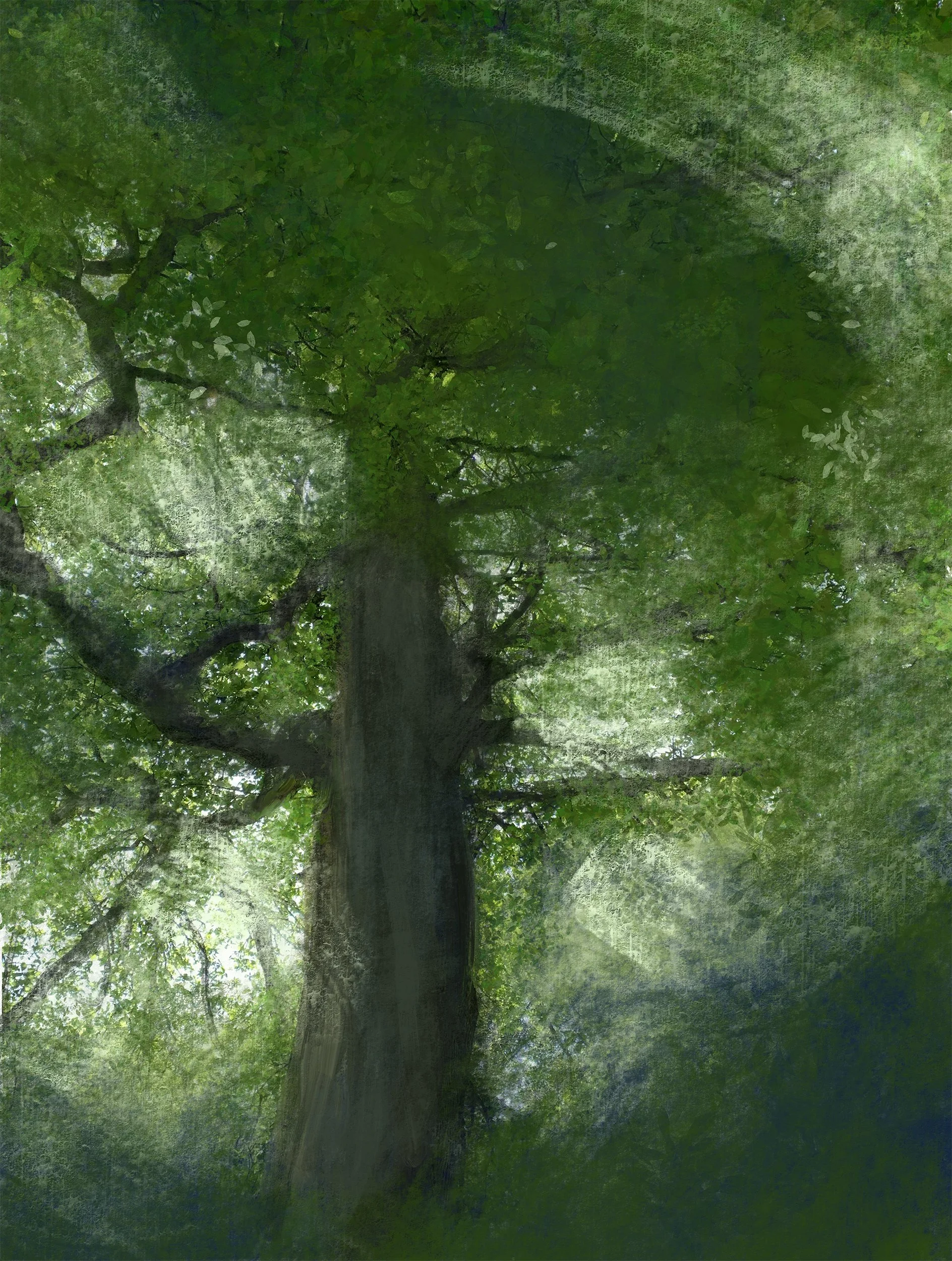 Savernake