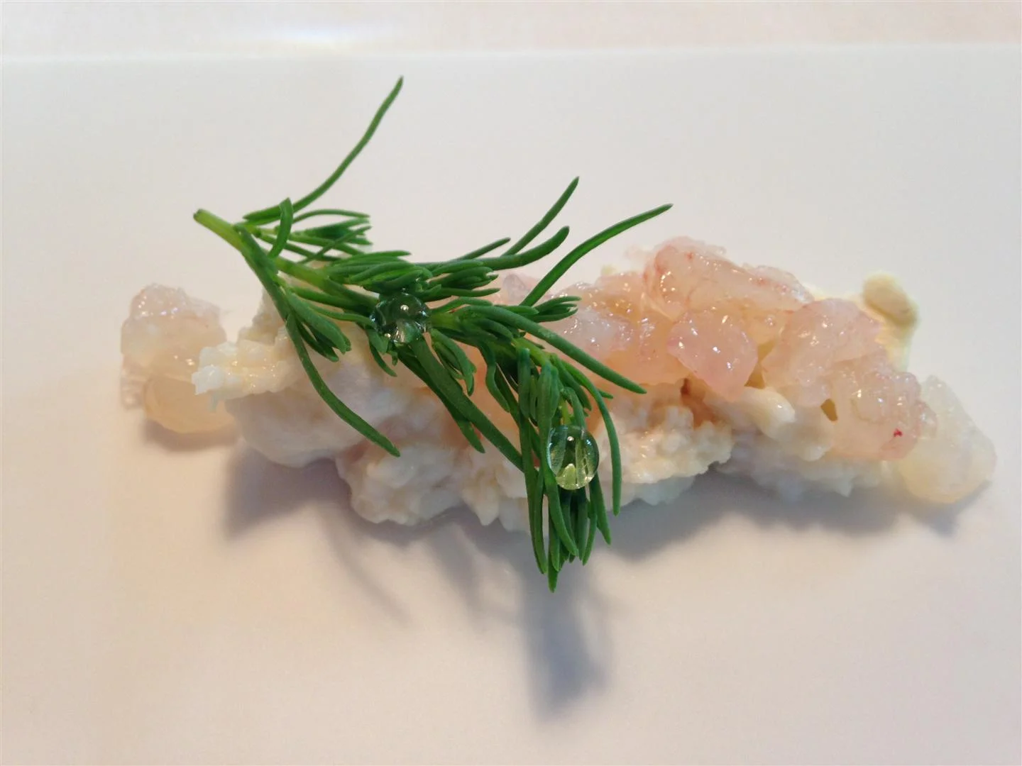 mugaritz.jpg