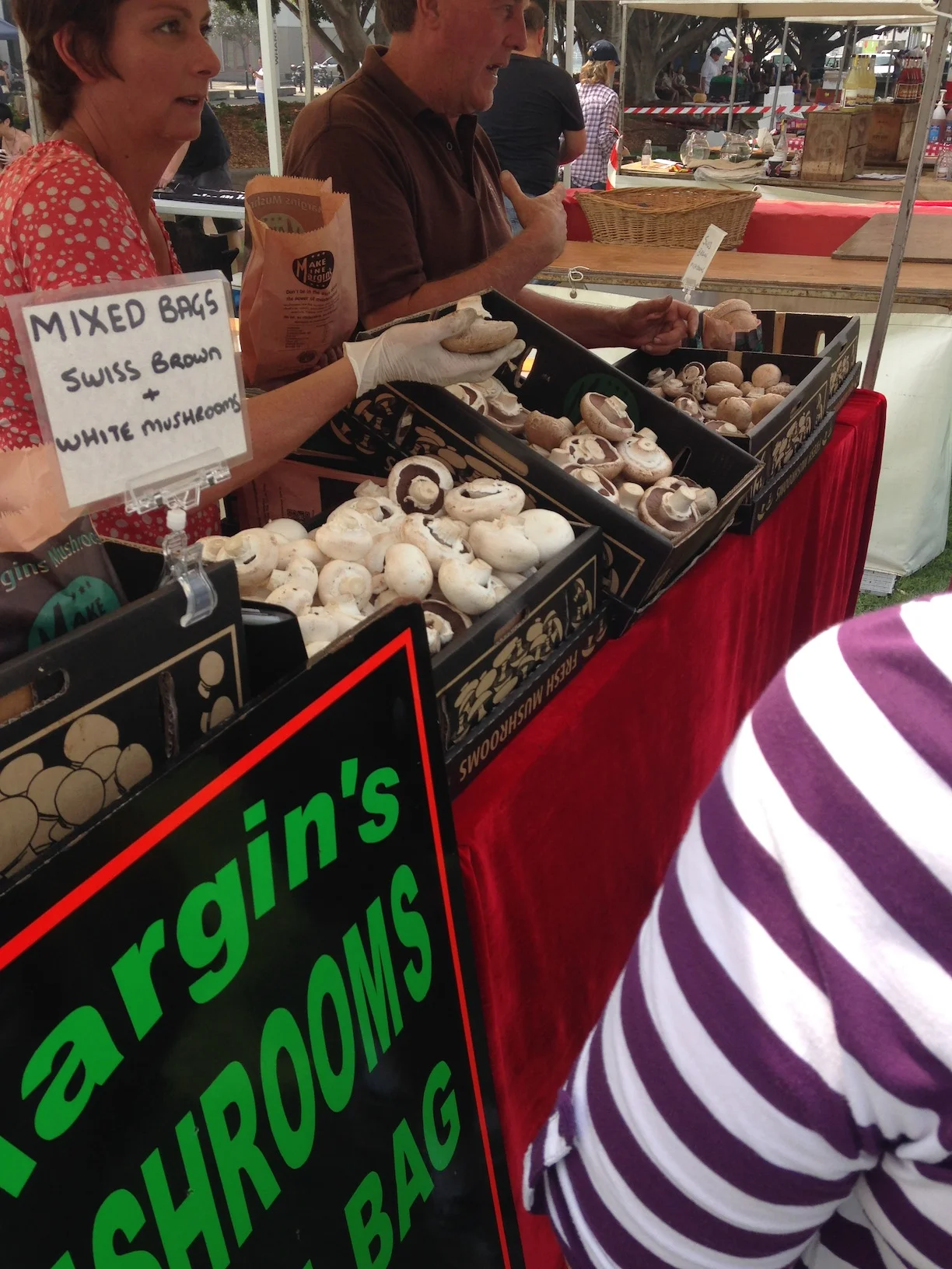 mushrooms.jpg