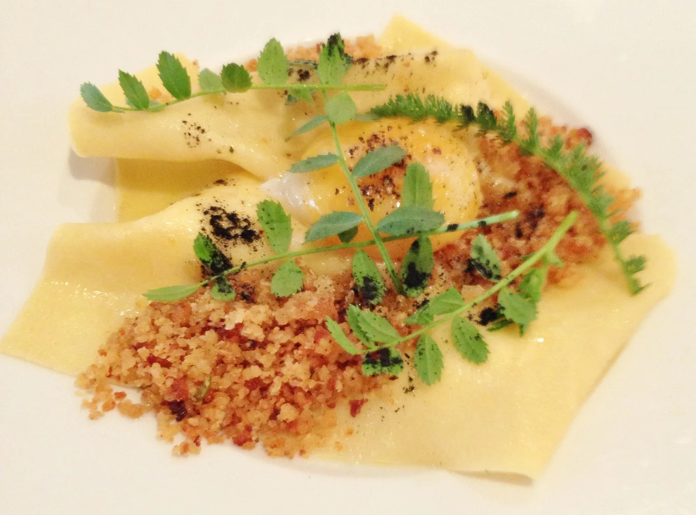 egg yolk and cooked curds.jpg