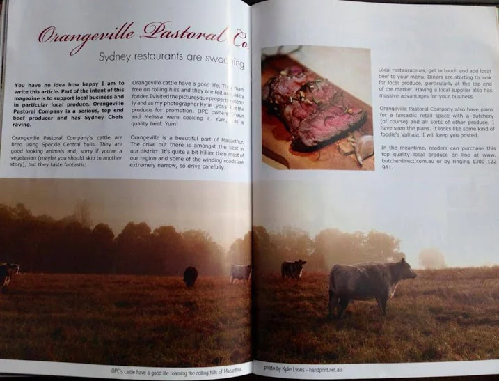magazine.jpg