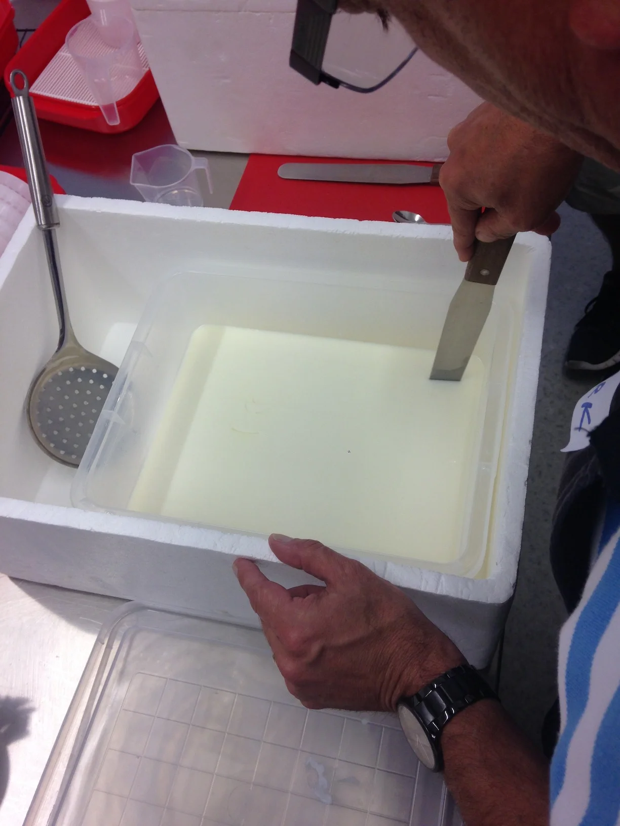 slicing curd.jpg