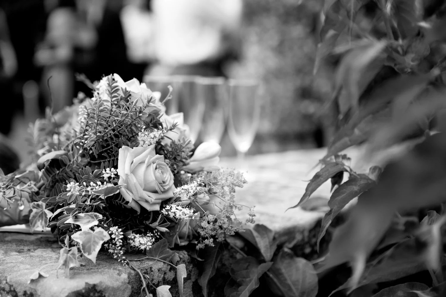 IMG_0878_2.jpg