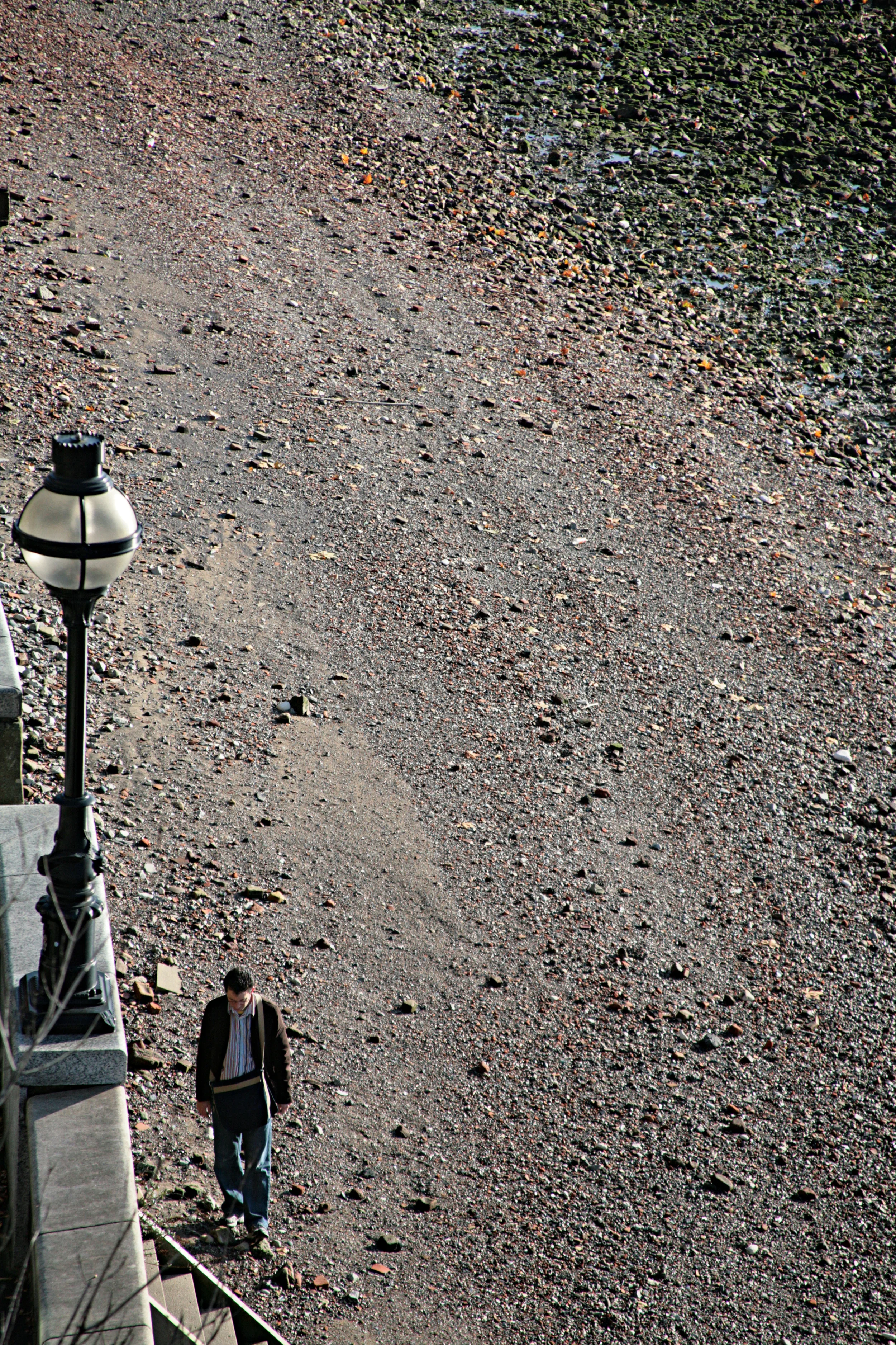 Bed of the River Thames.jpg